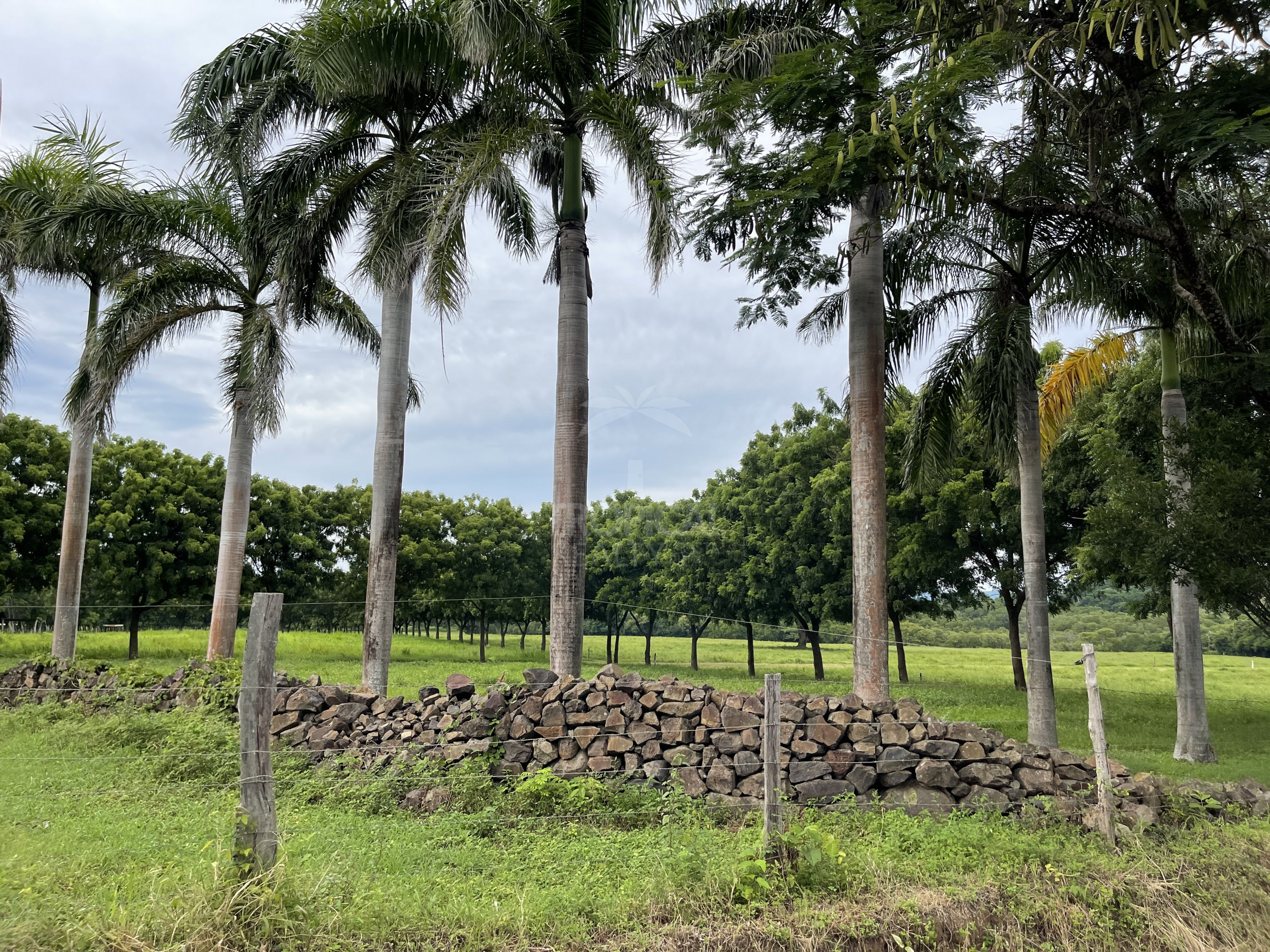 Strategic Investment in Guanacaste – Prime Lot Just 1 km from Playa Copal SOLD
