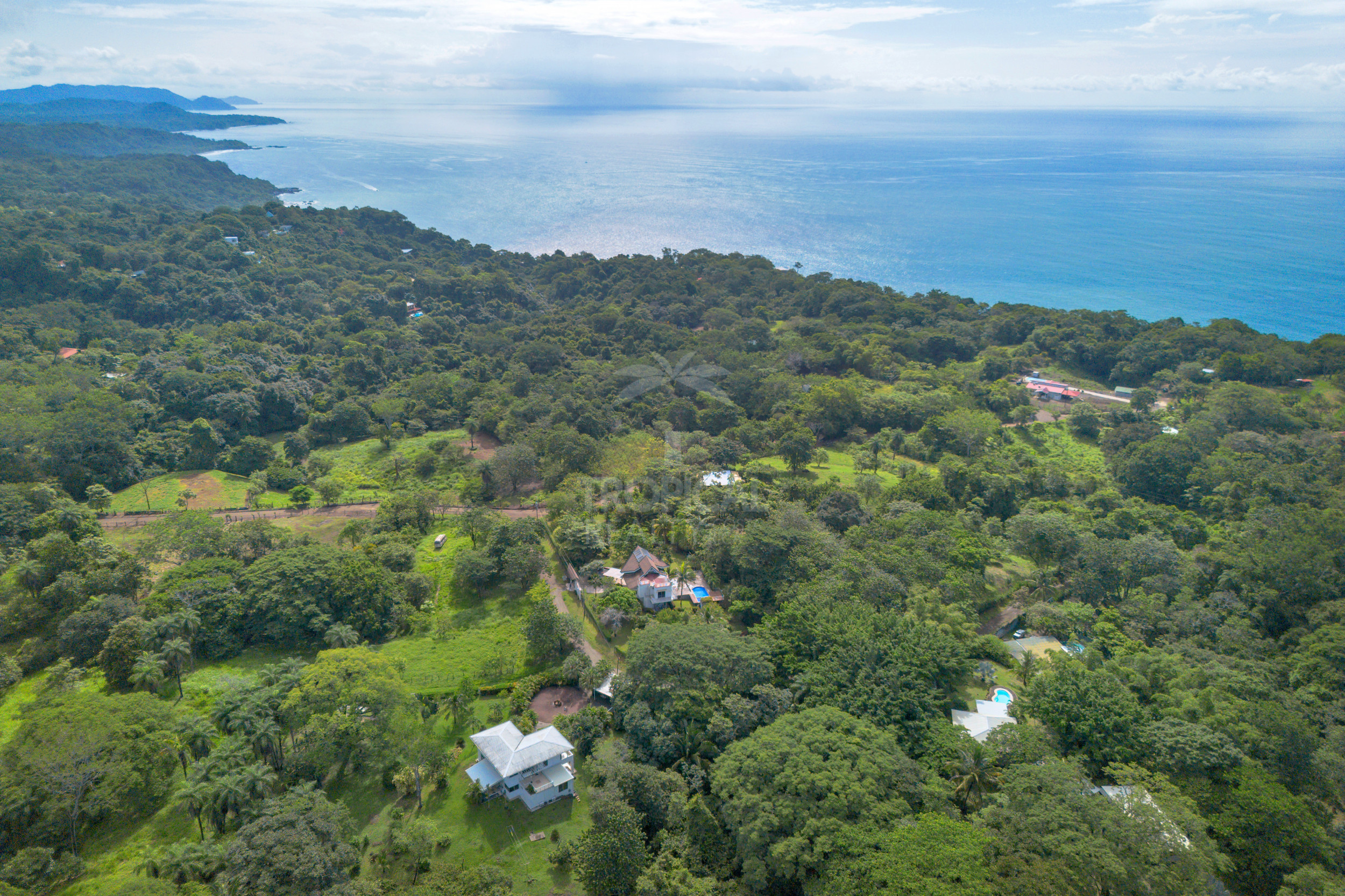 Modern Jungle Villa in Las Delicias – Santa Teresa