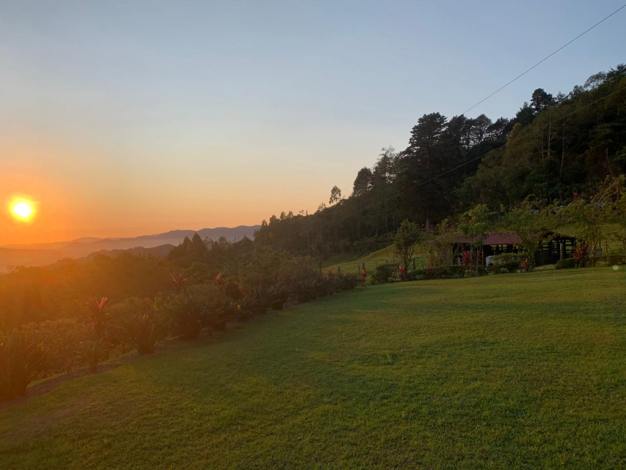 Charming Coffee Retreat Home with Stunning Views and Gourmet Coffee Plantations