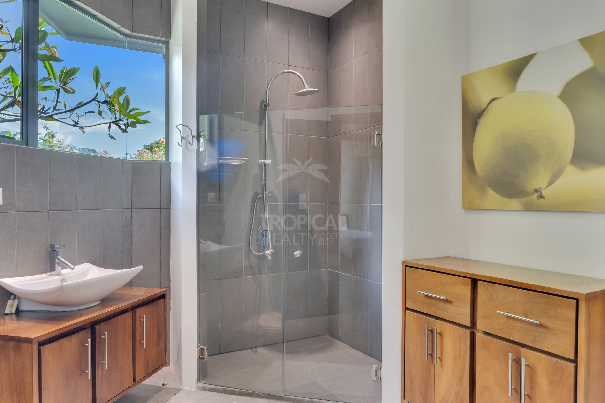Modern Jungle Villa in Las Delicias – Santa Teresa