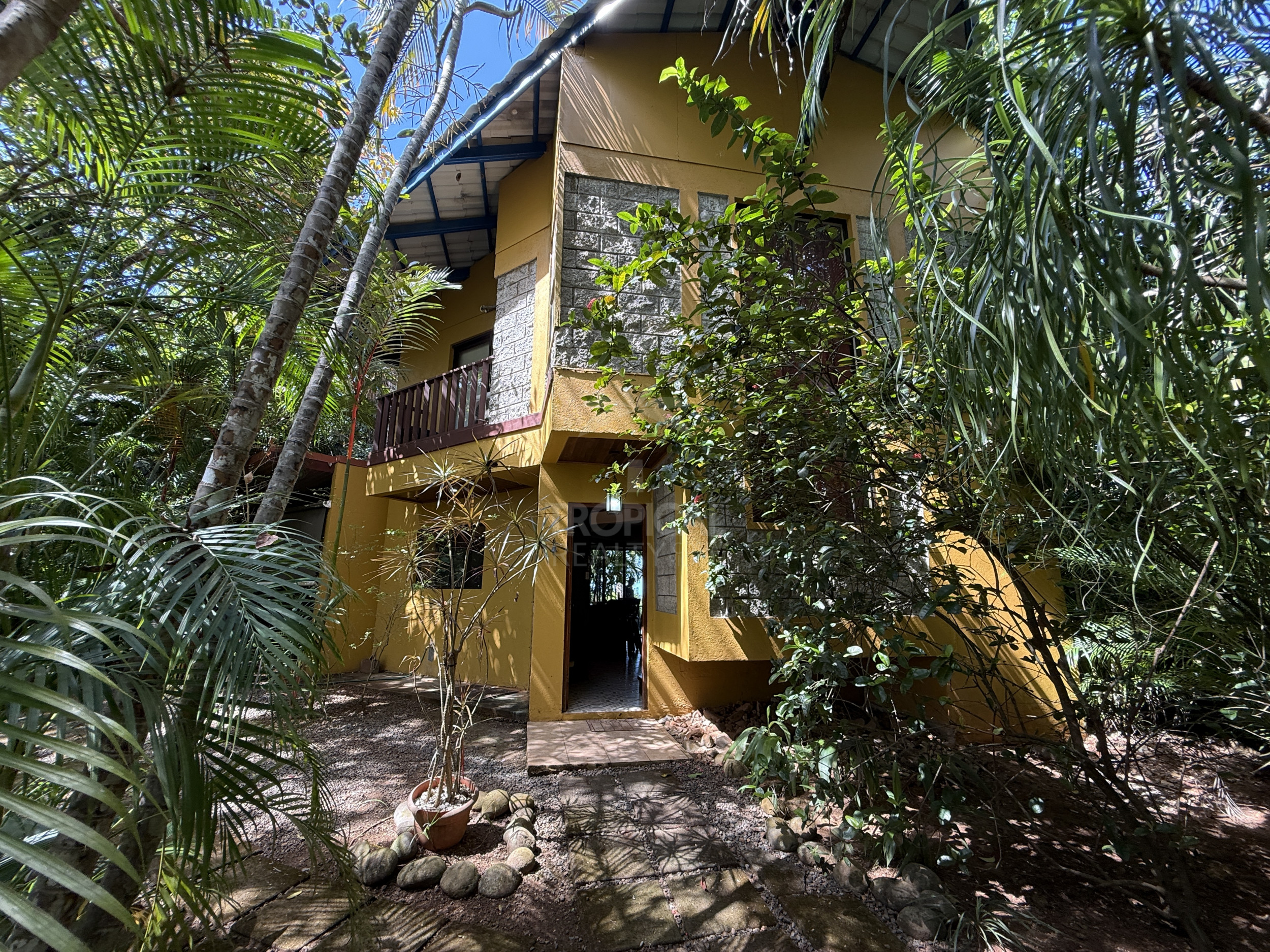 Property for sale with 3 houses and a cabin in Esparza!