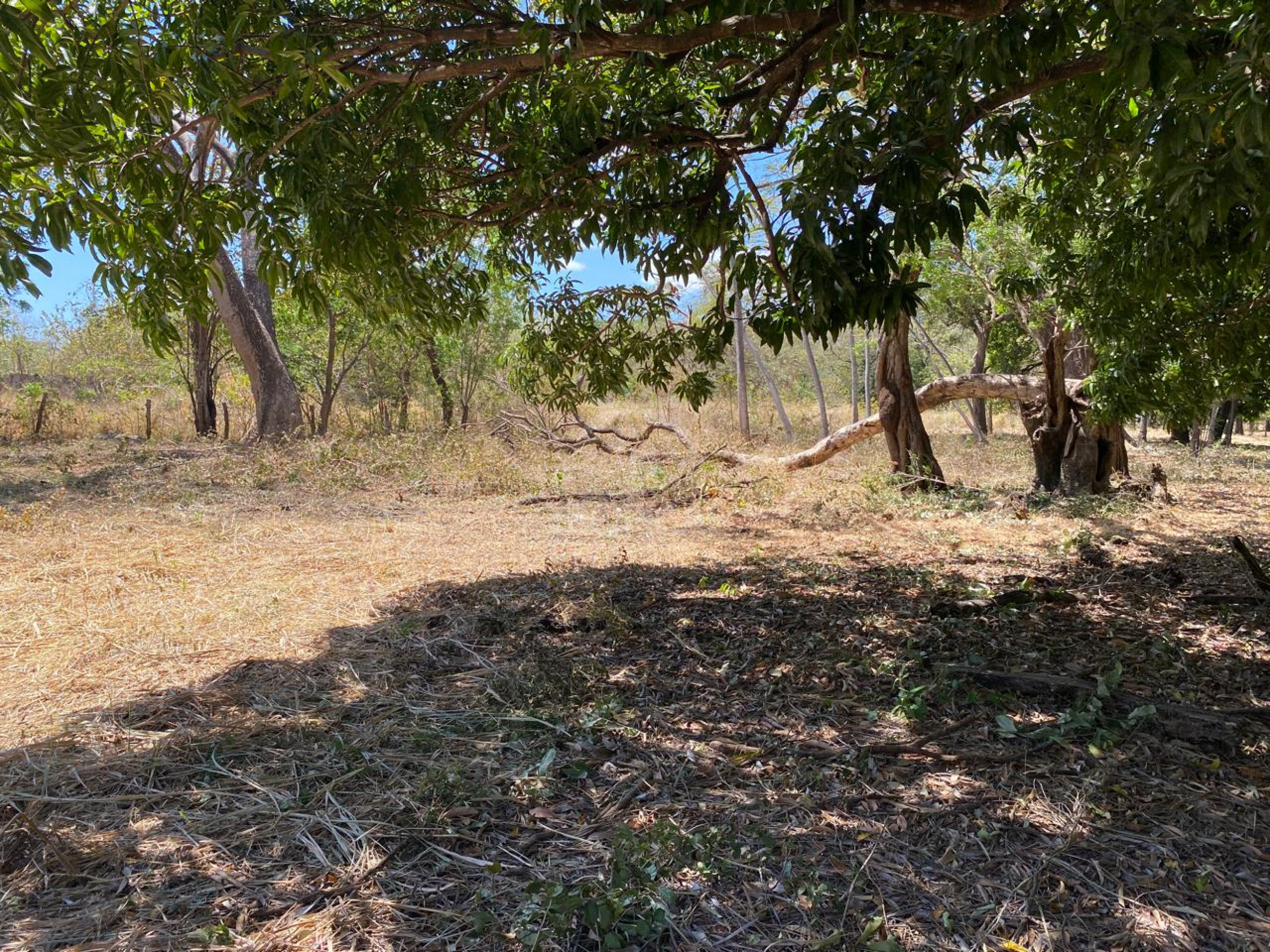 Commercial Lot for Sale in Liberia – Fronting the Interamericana Highway