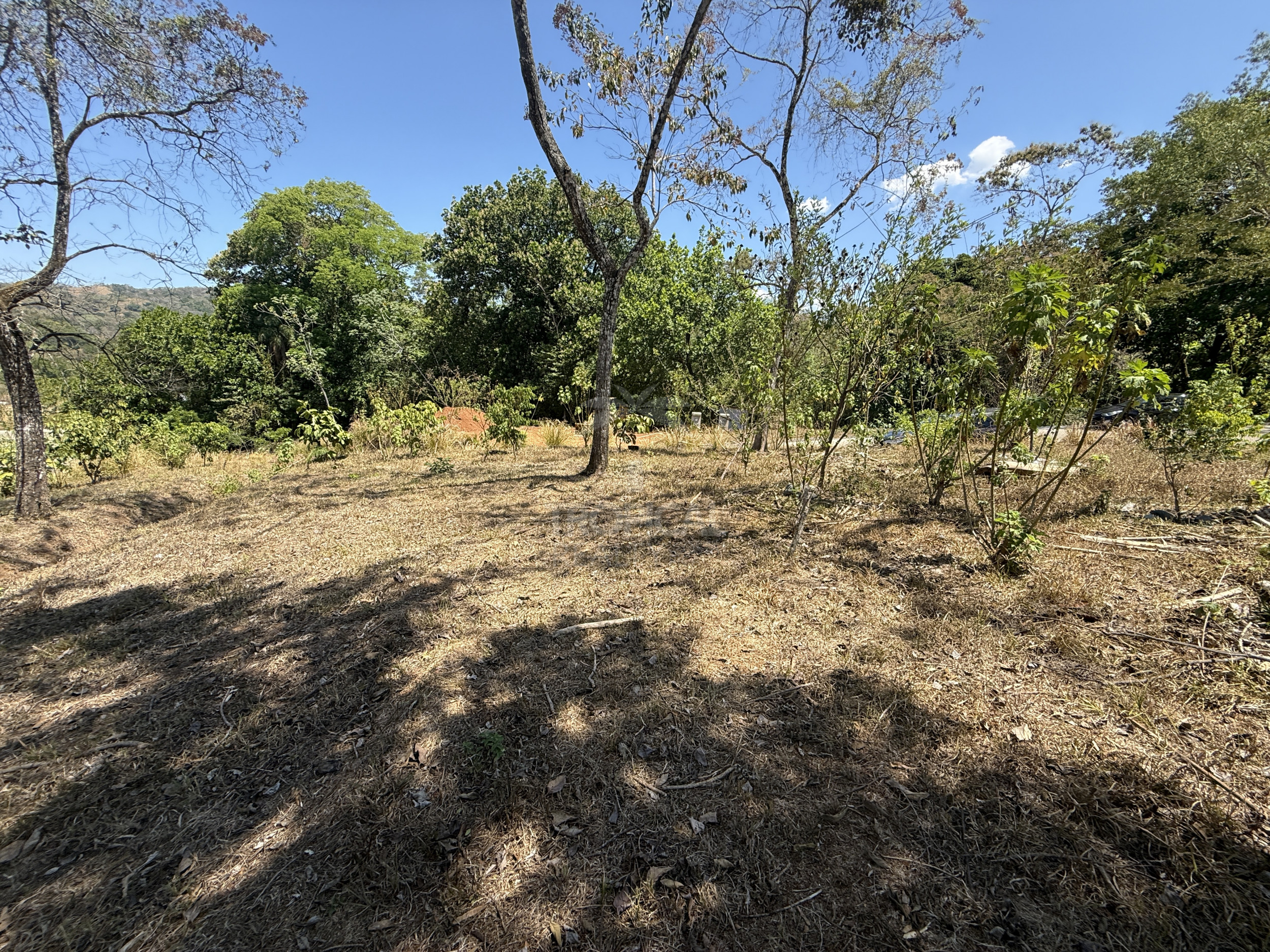 Corner Lot for Sale in Ecovilla San Mateo – Nature, Community & Conscious Living