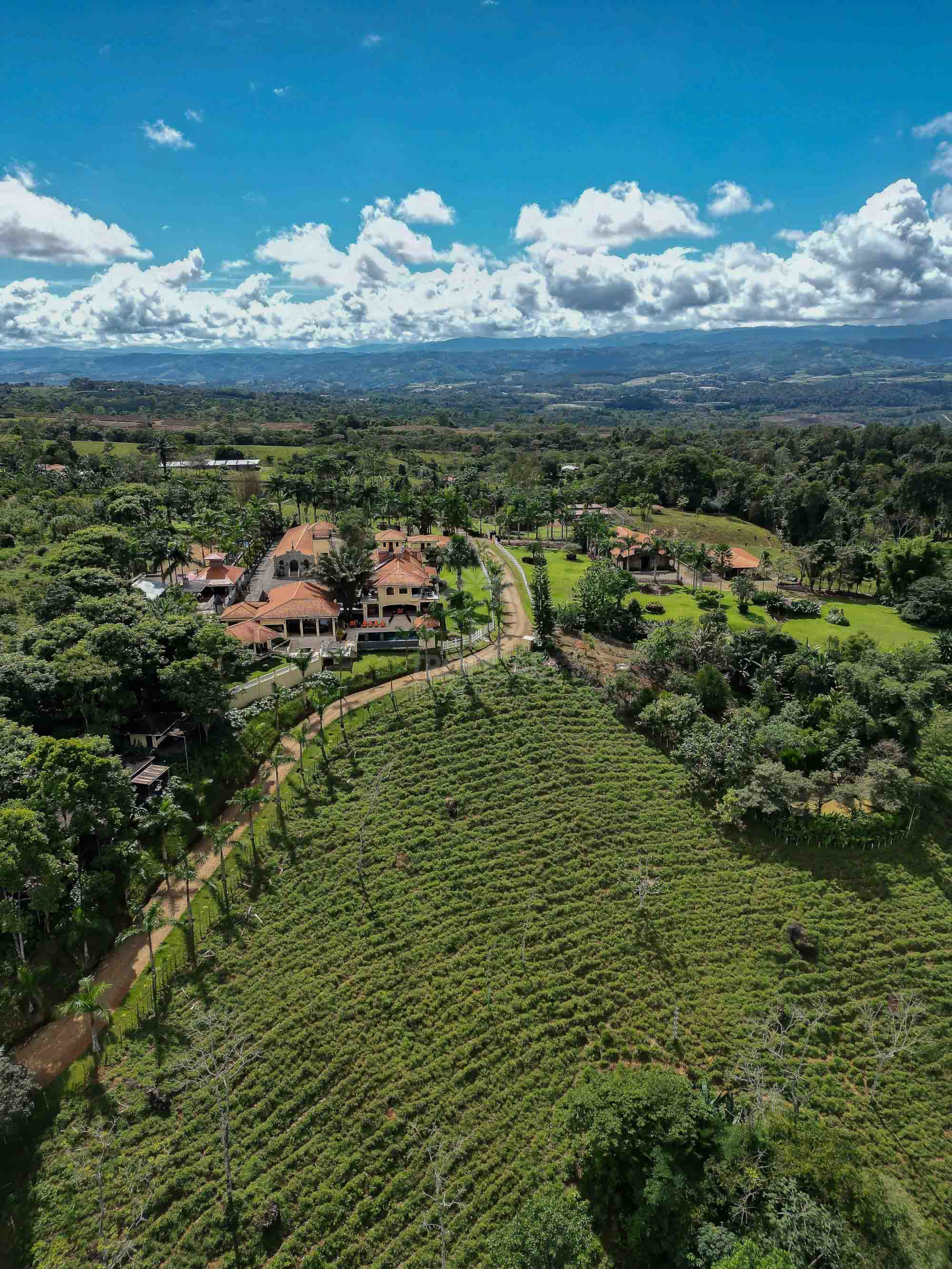 Grand Luxury Estate – Rancho Villa Verde