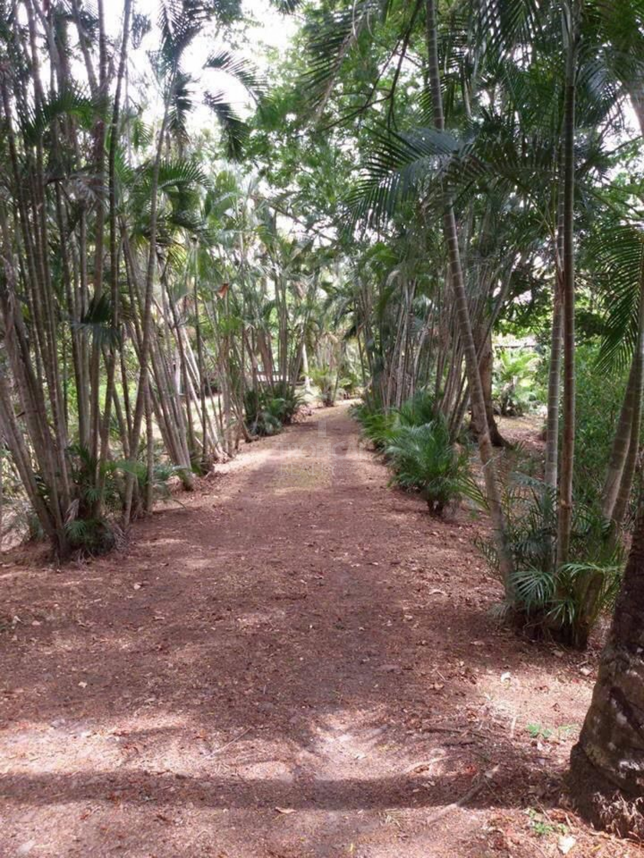 Farm for Sale in Turrúcares – Riverfront with Pools & Ecotourism Potential