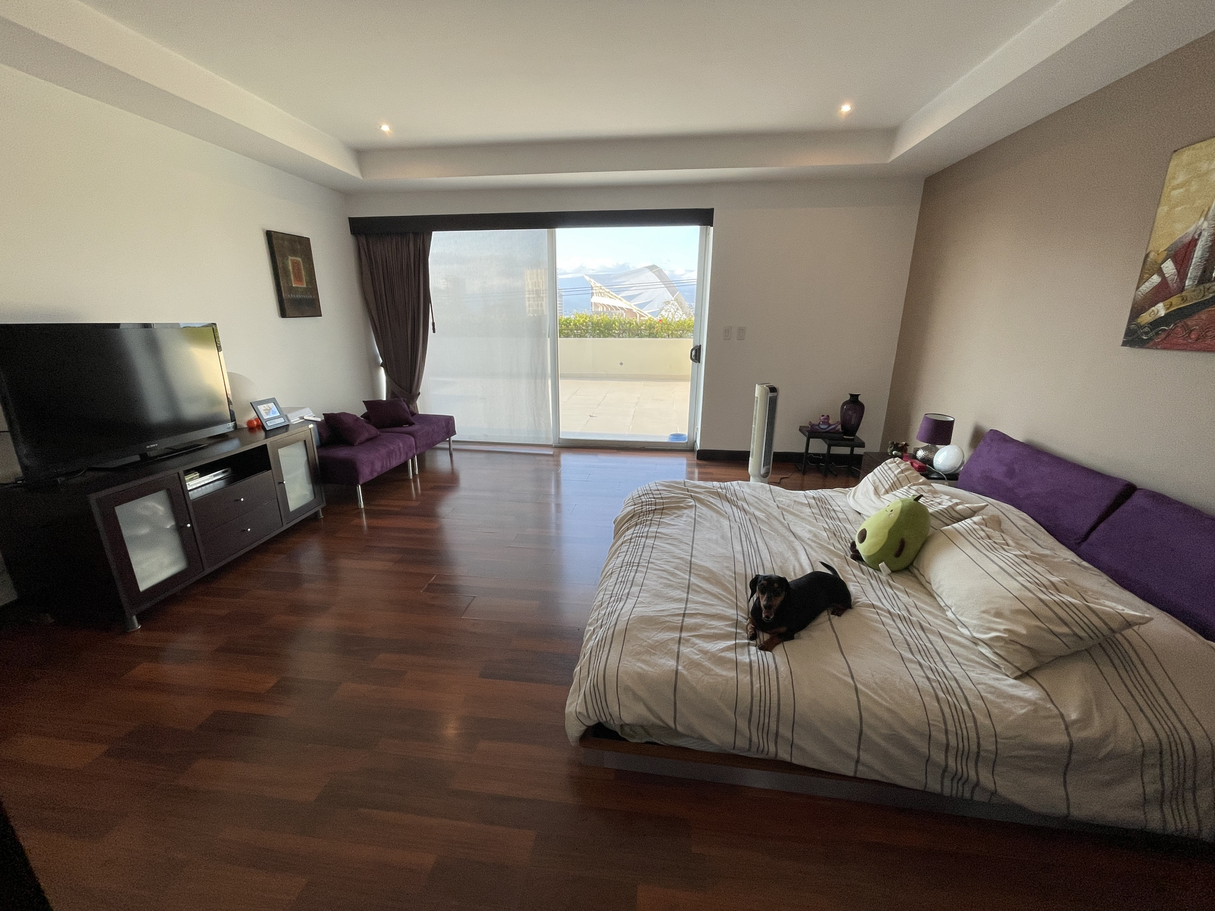 Apartment for sale Sabana Real