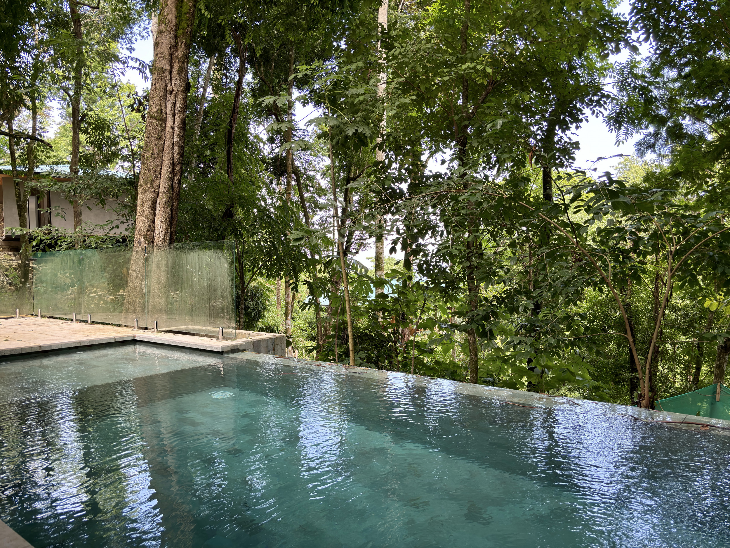 Modern Retreat Surrounded by Lush Nature in Santa Teresa
