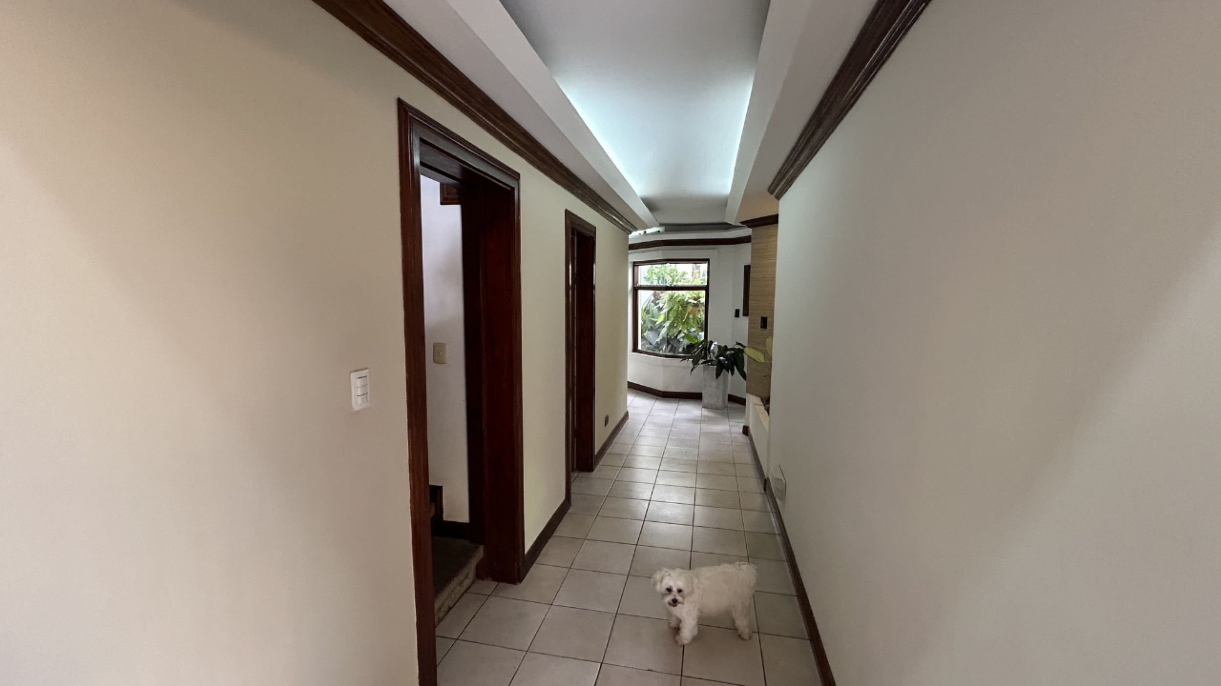 Home for Sale in Rohrmoser, Pavas – Spacious Layout & Private Terrace