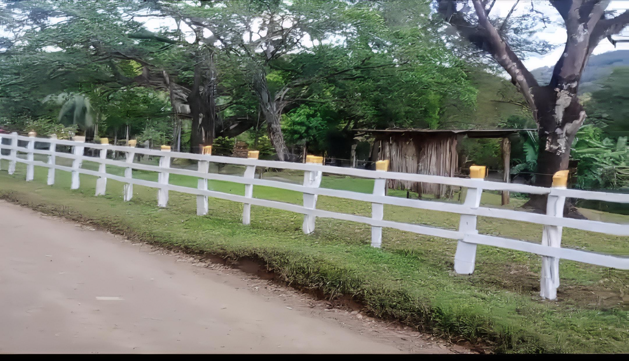 153-Hectare Ranch for Sale in Santa Cruz, Guanacaste – Natural Springs, Forest & Development Potential | $1,000,000