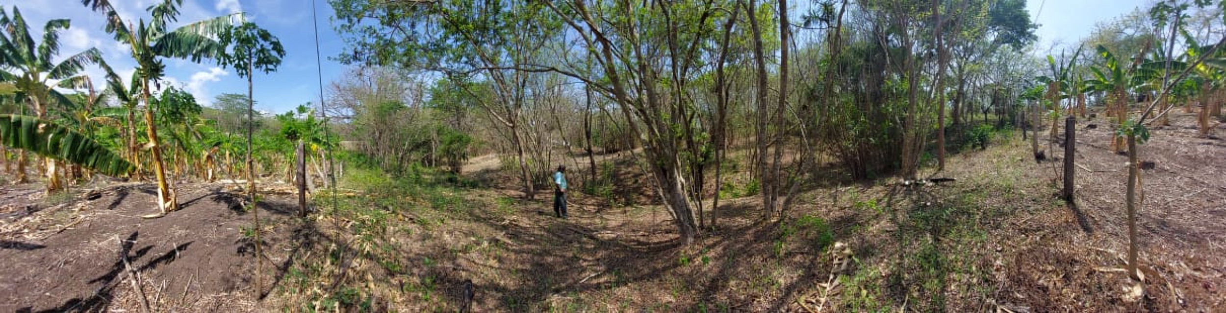 Beach Land for Sale in Garza, Nosara, Guanacaste