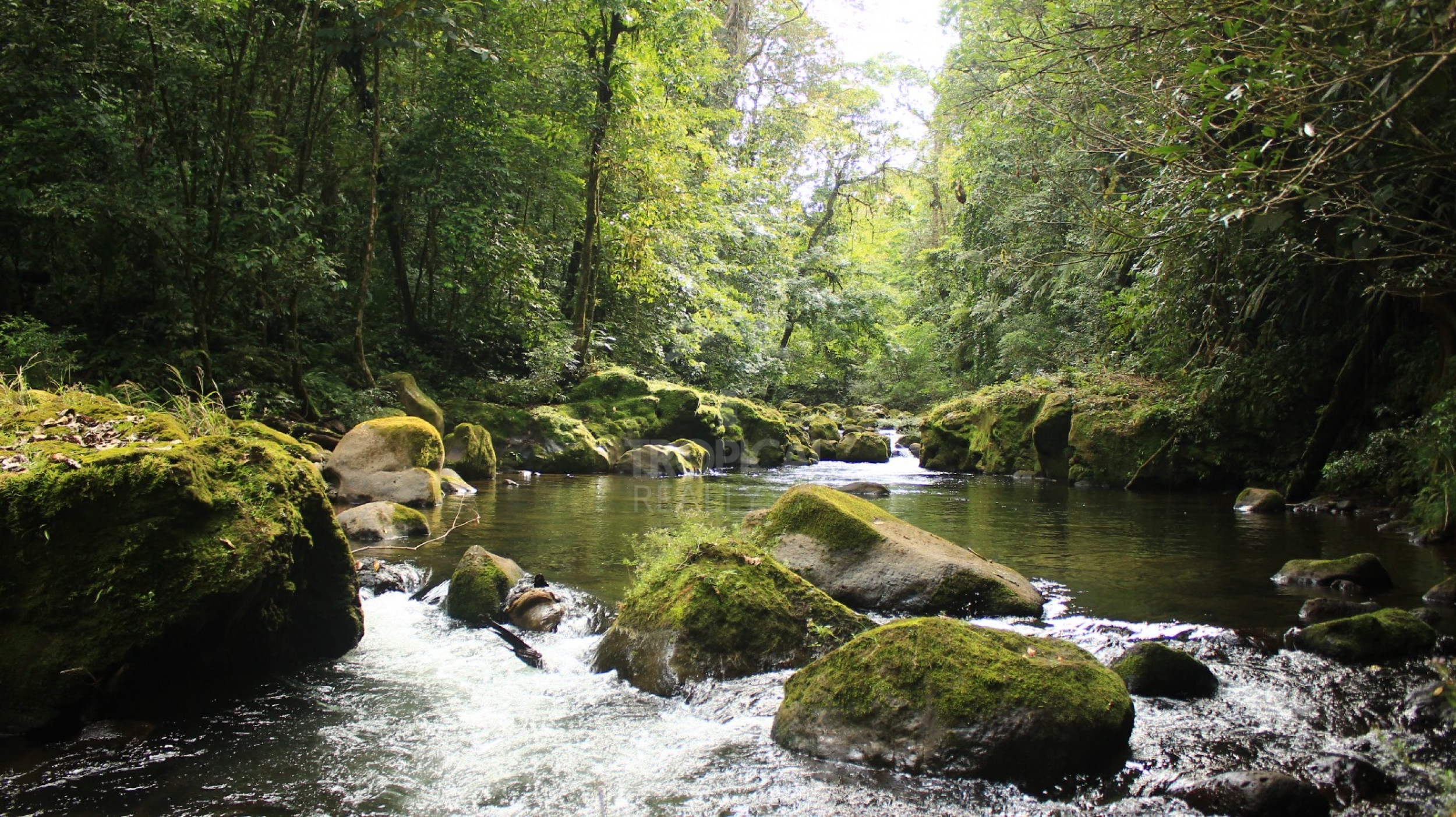 For Sale: Nature Lover’s Paradise in Sarapiquí – 24.7 Acres with Two Rivers | Bijagual, Heredia