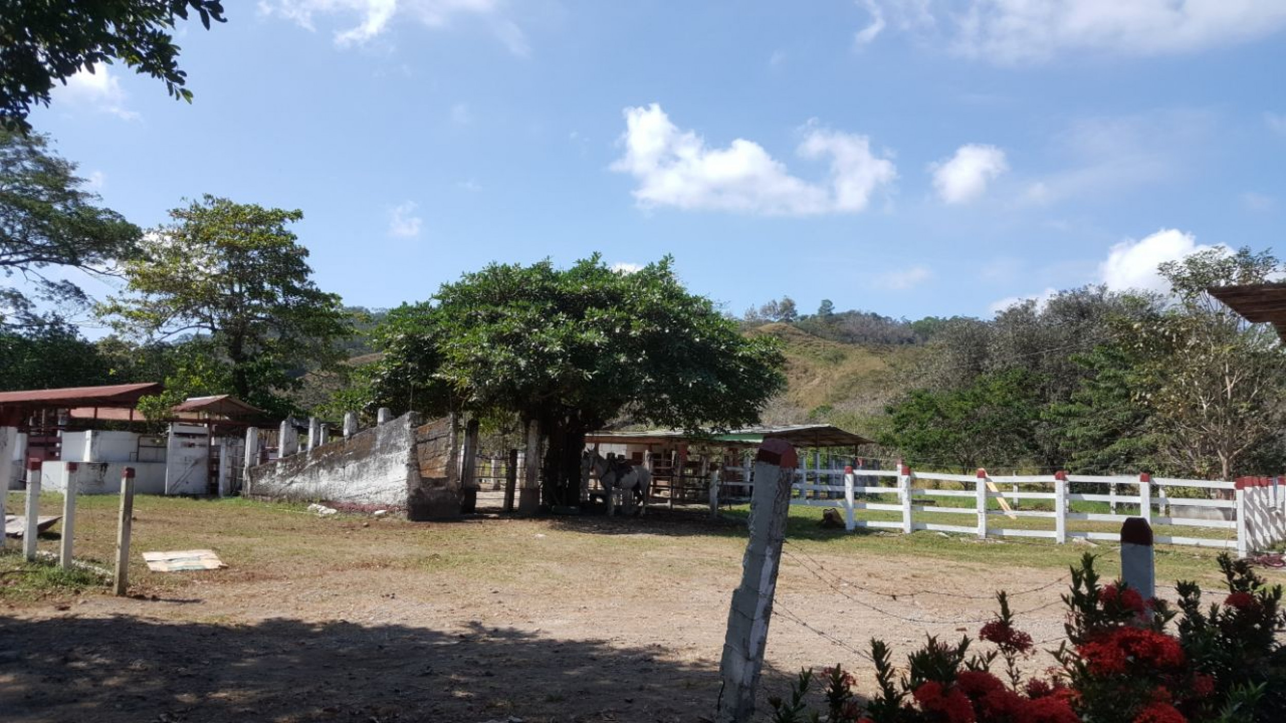 864 Acres in the Gulf of Nicoya Blue Zone – A Sanctuary of Nature and Tranquility