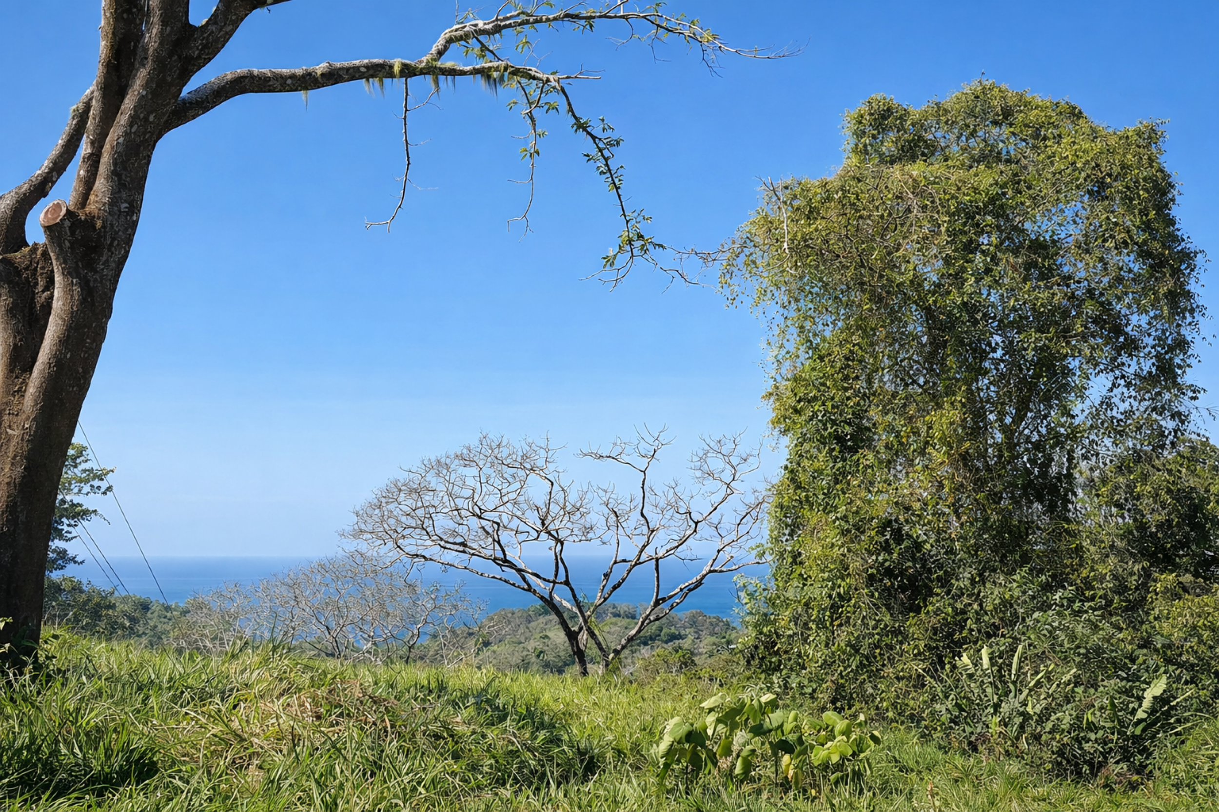 Ocean View Lot in San Isidro above Malpaís