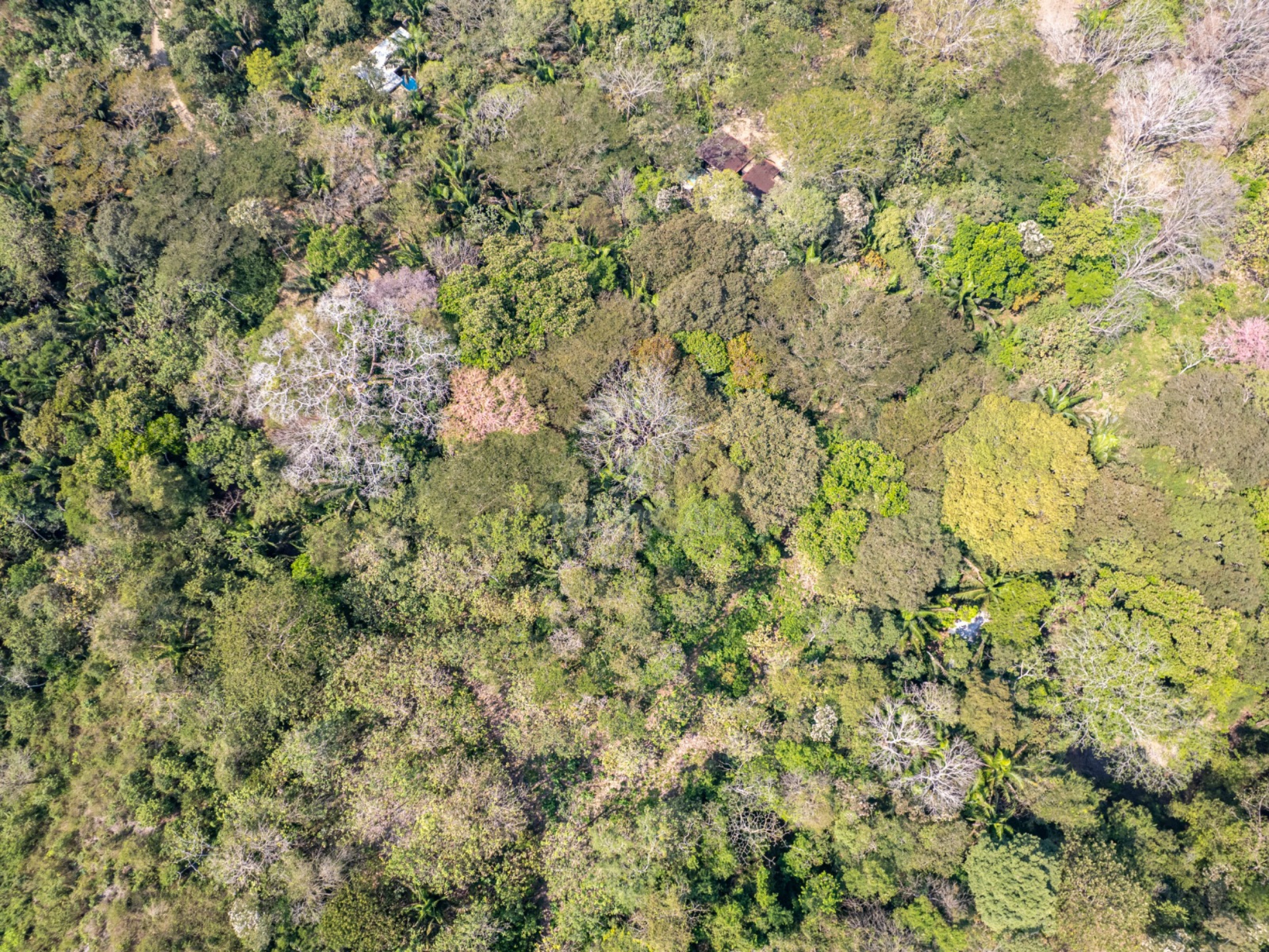5,328 m² Lot in Santiago Surrounded by Nature – Minutes from Playa Hermosa & Santa Teresa