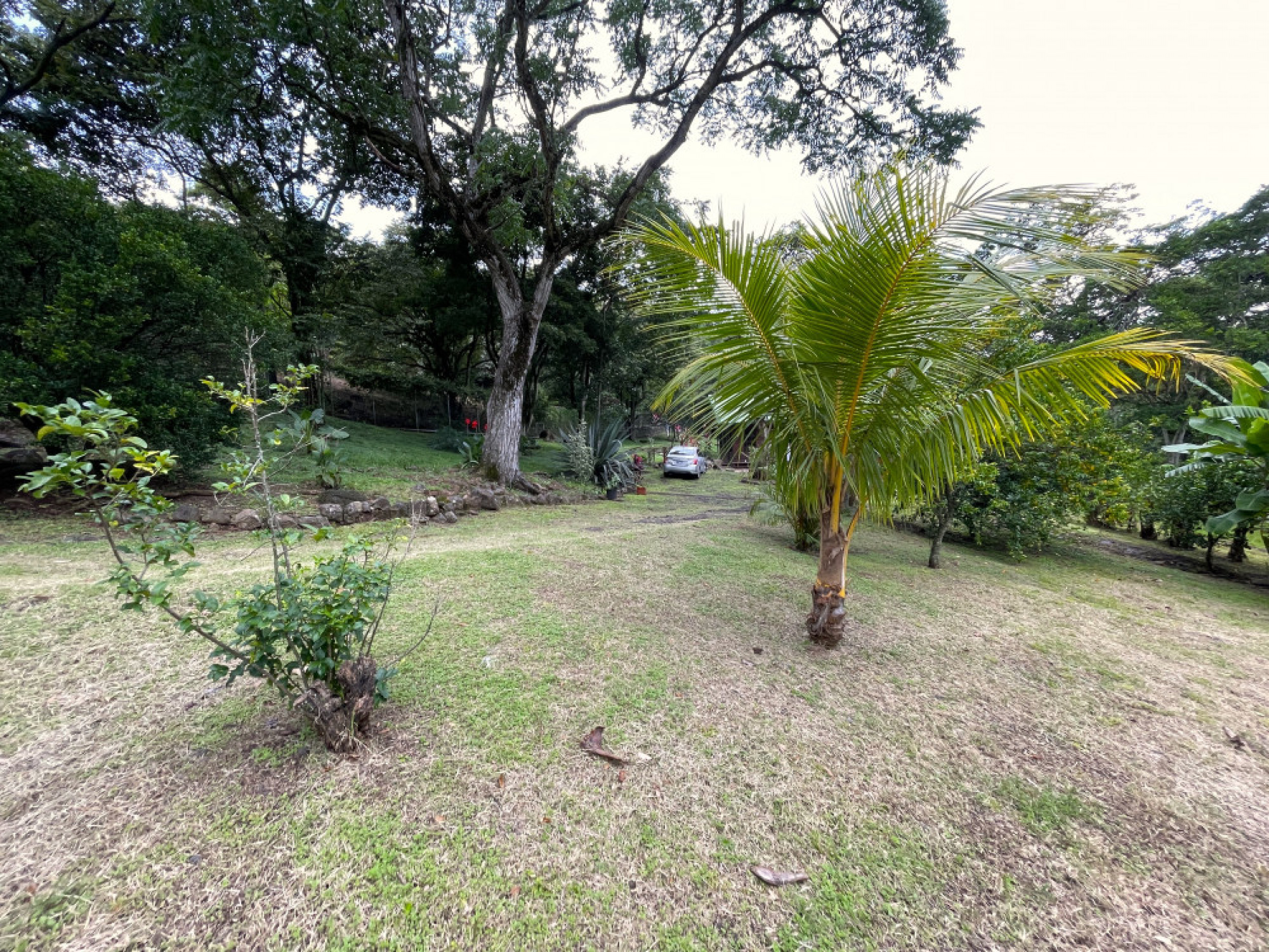 Dreamy Natural Retreat with Private River and Fruit Trees – Turrúcares, Costa Rica
