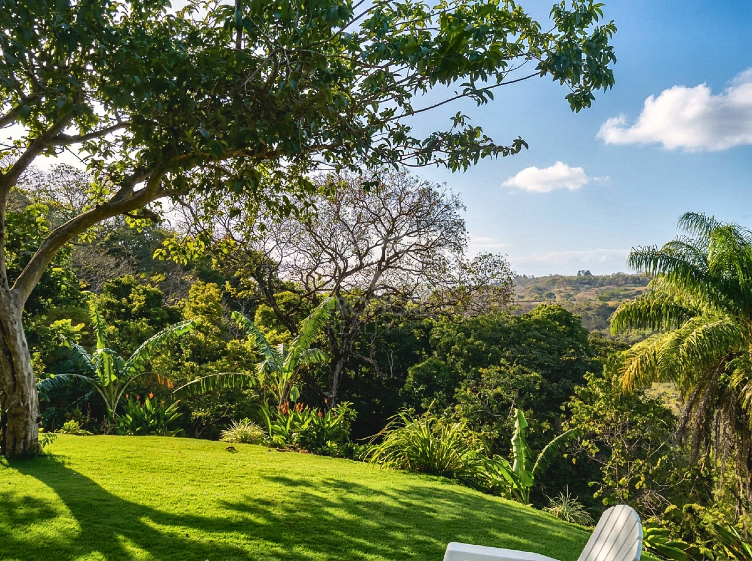 Finca Tropical Estate — Two Homes, an Organic Food Forest and Sunset Views in Ciudad Colón