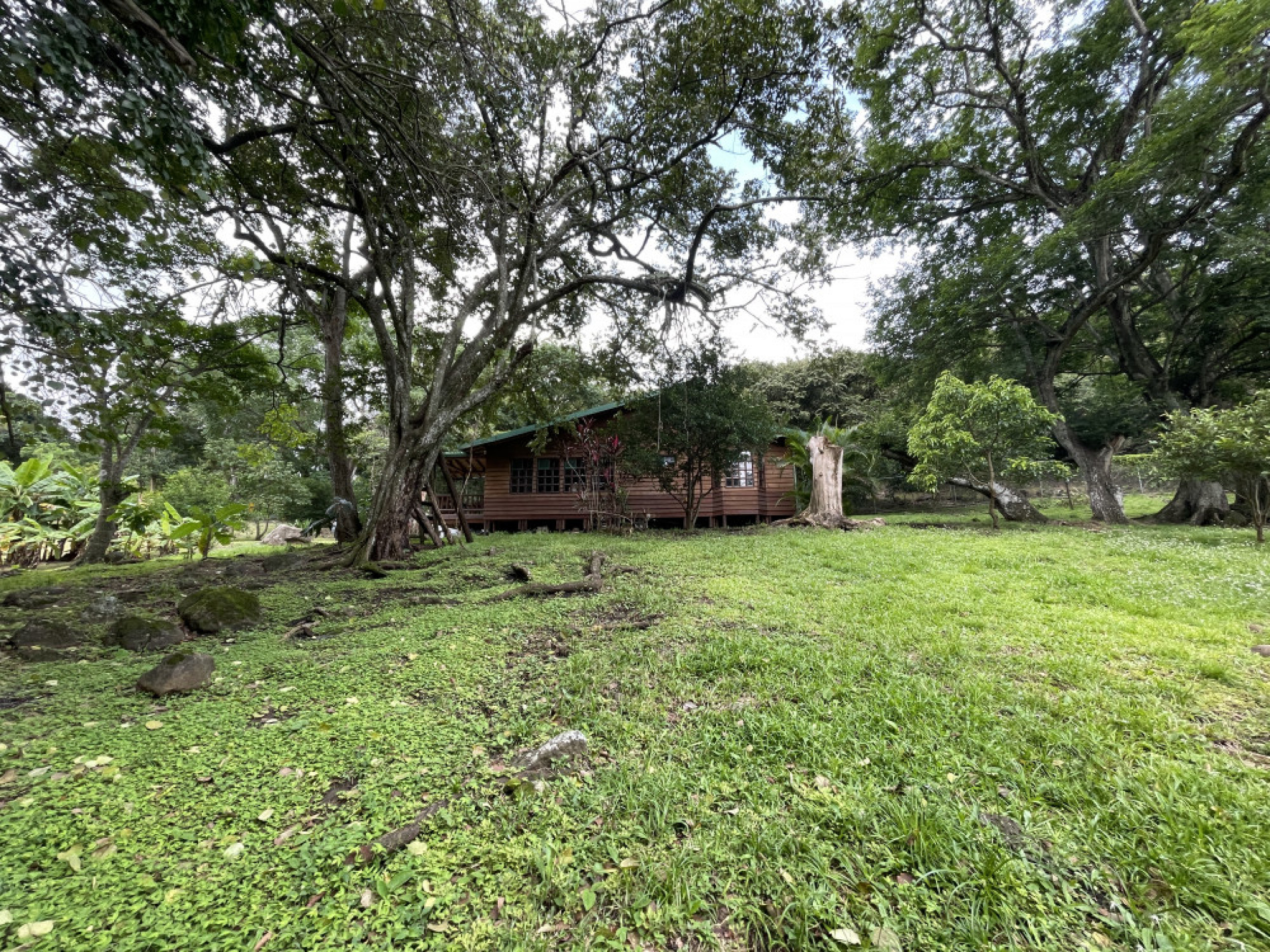 Dreamy Natural Retreat with Private River and Fruit Trees – Turrúcares, Costa Rica