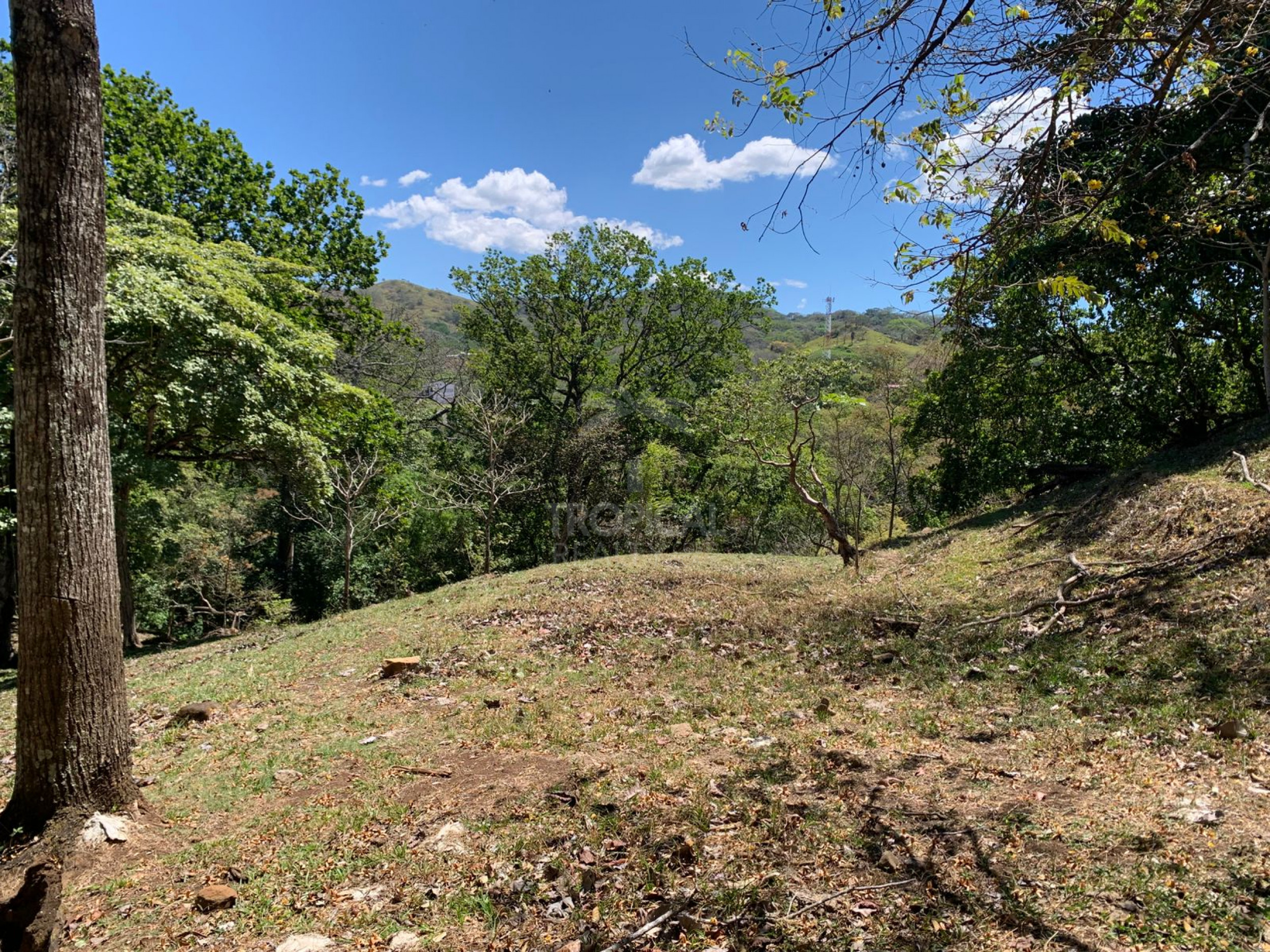 Farm for Sale in Turrúcares – Riverfront with Pools & Ecotourism Potential
