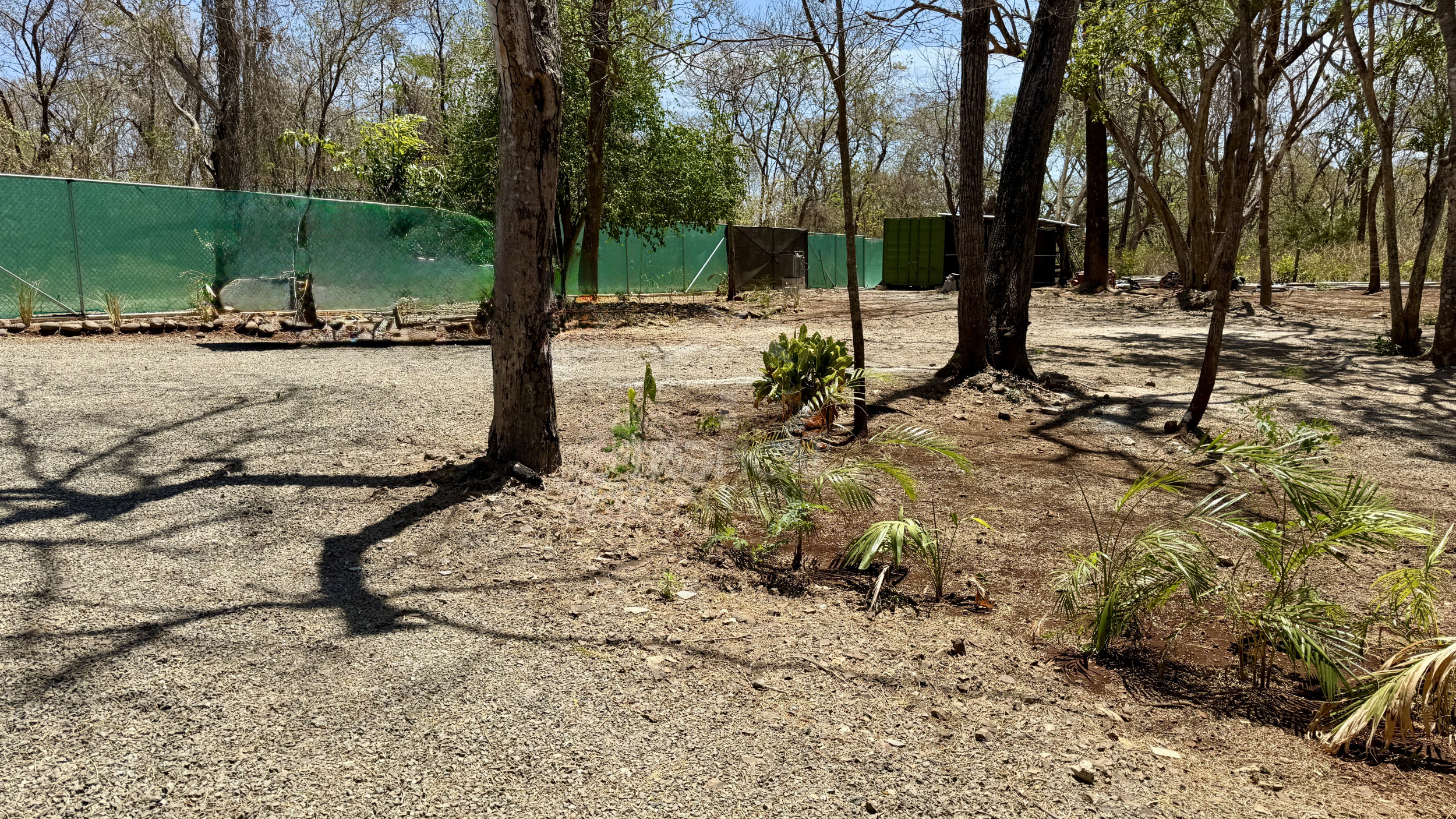 Prime 1.23 acres Lot Near Playa Avellanas – with a 2 bedrooms home