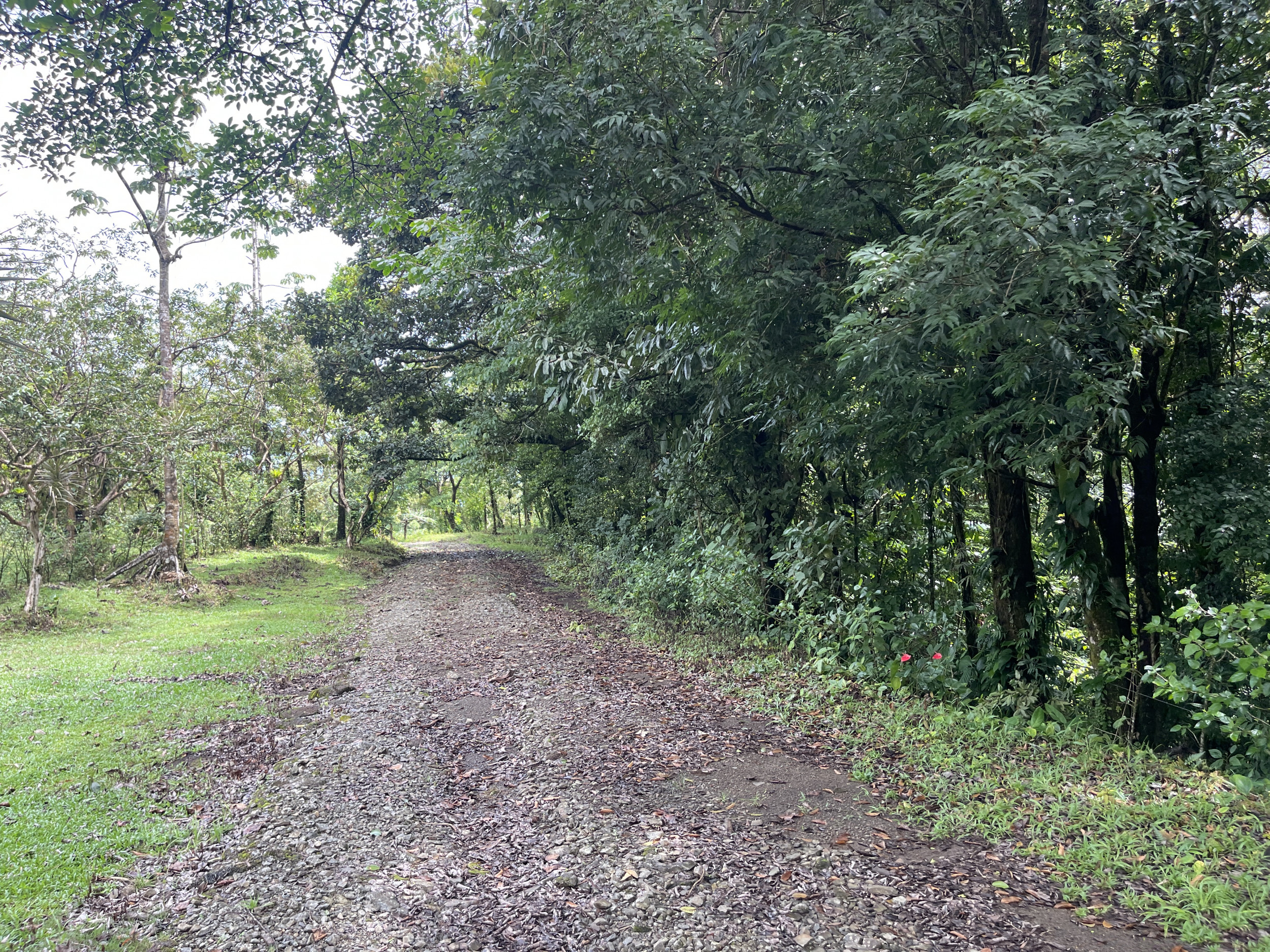 65-Acre Lakeview Property in Nuevo Arenal, Ideal for Family Residential Development