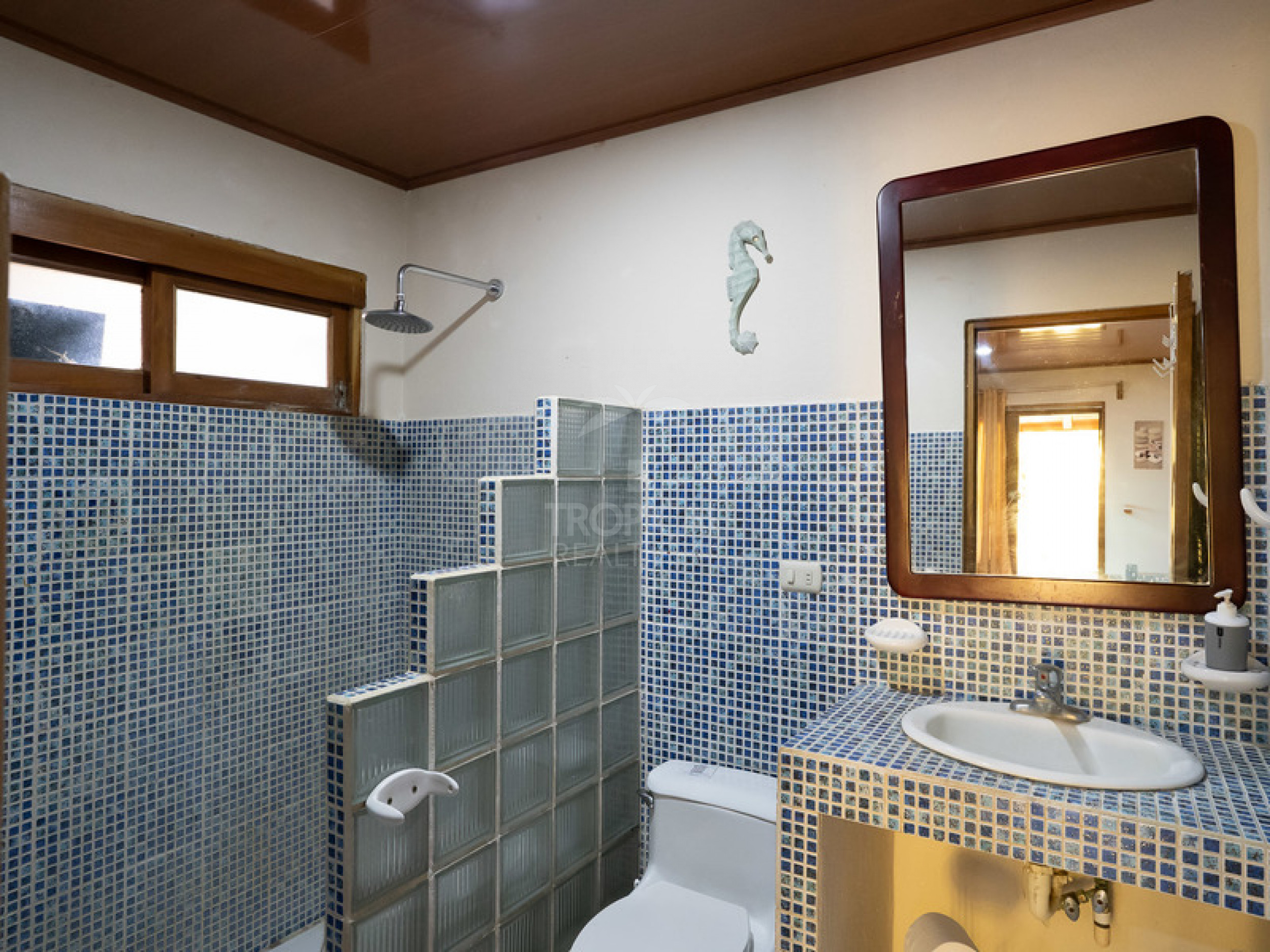 Buddha Apartments – Turnkey Hospitality Investment Steps from the Beach in Santa Teresa