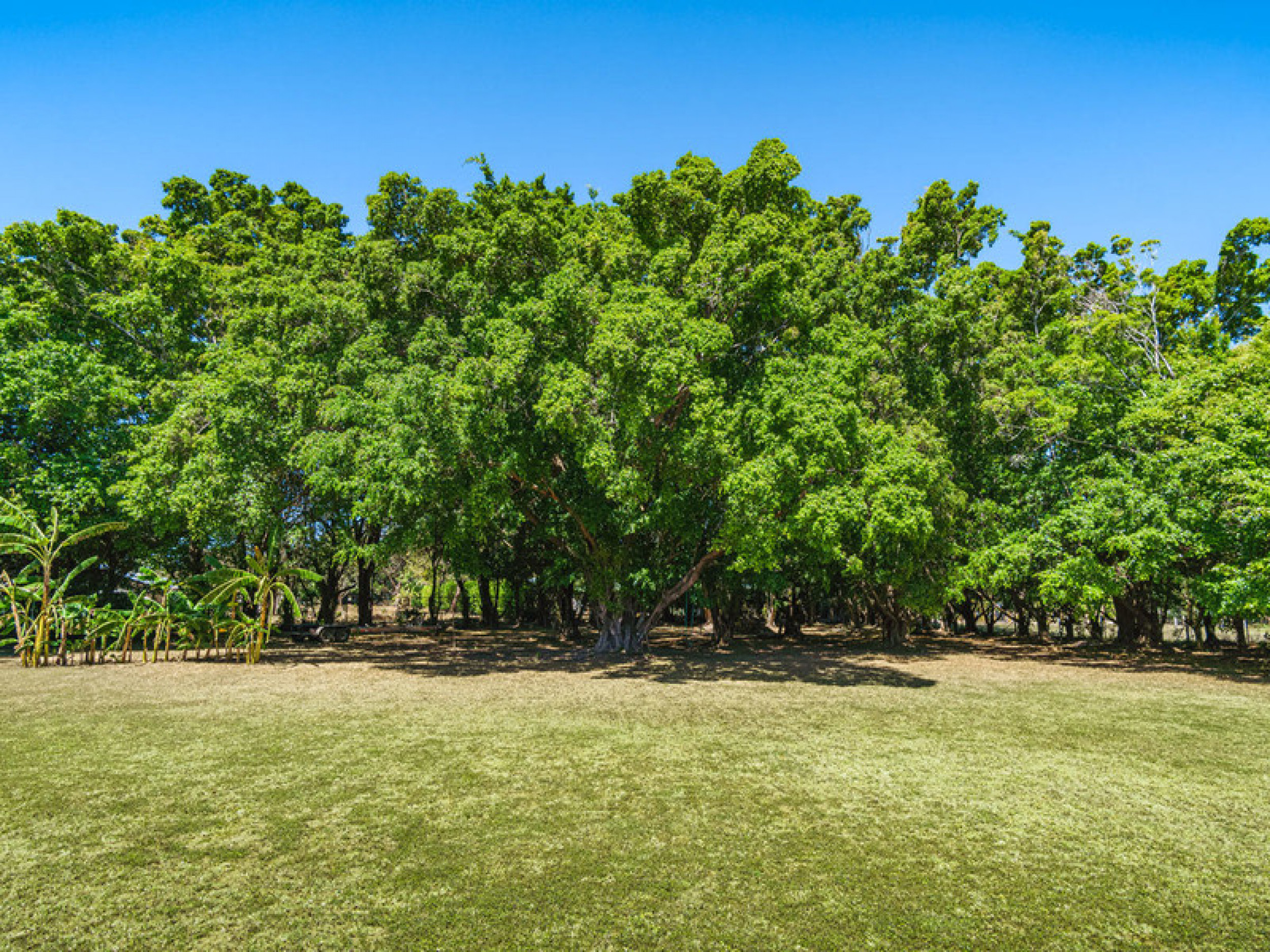 Luxury Bed & Breakfast Estate for Sale Near Playa Tamarindo – Prime Investment Opportunity