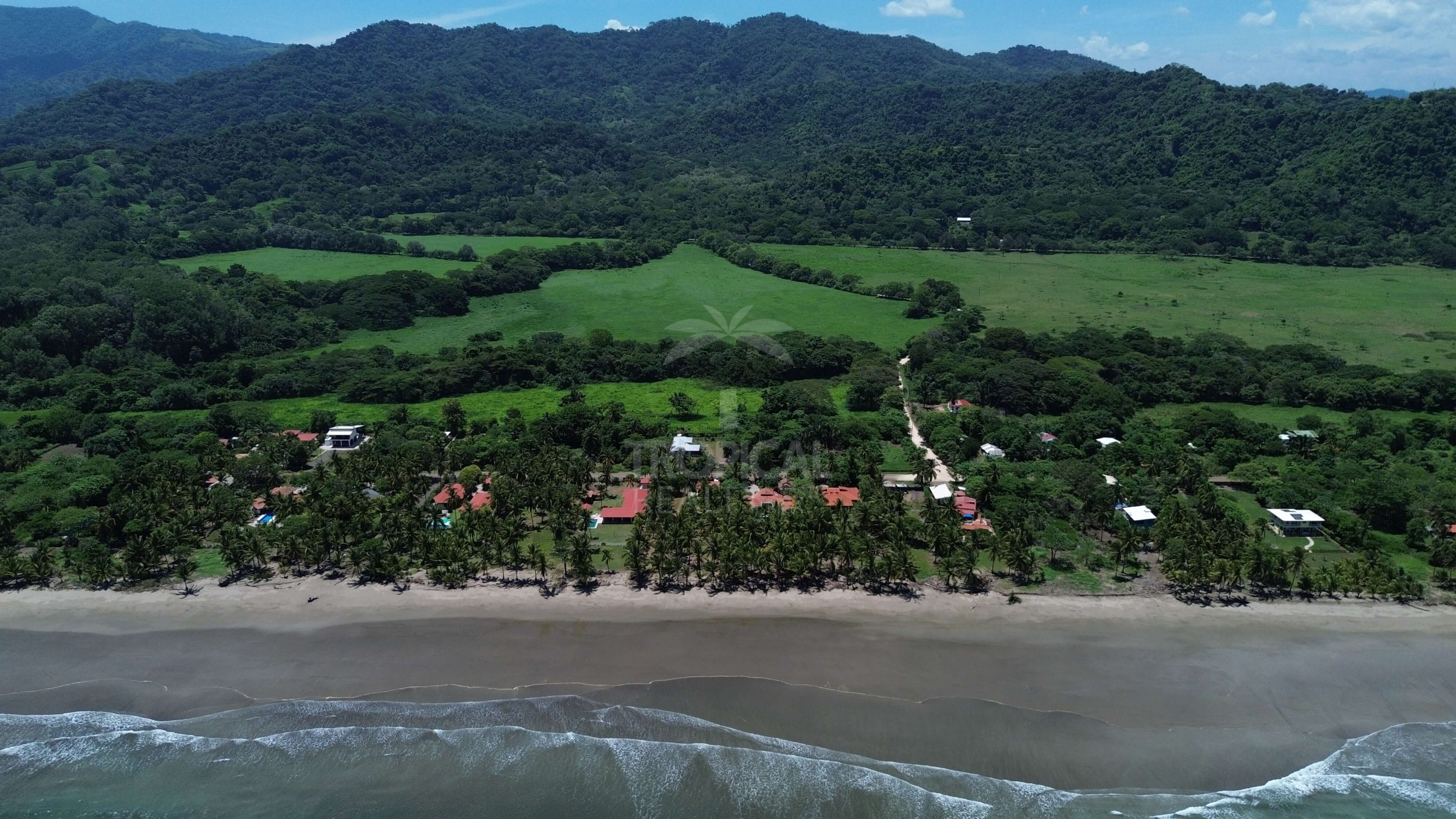 Paradise Found: Exclusive Beachfront Estate in Playa Coyote
