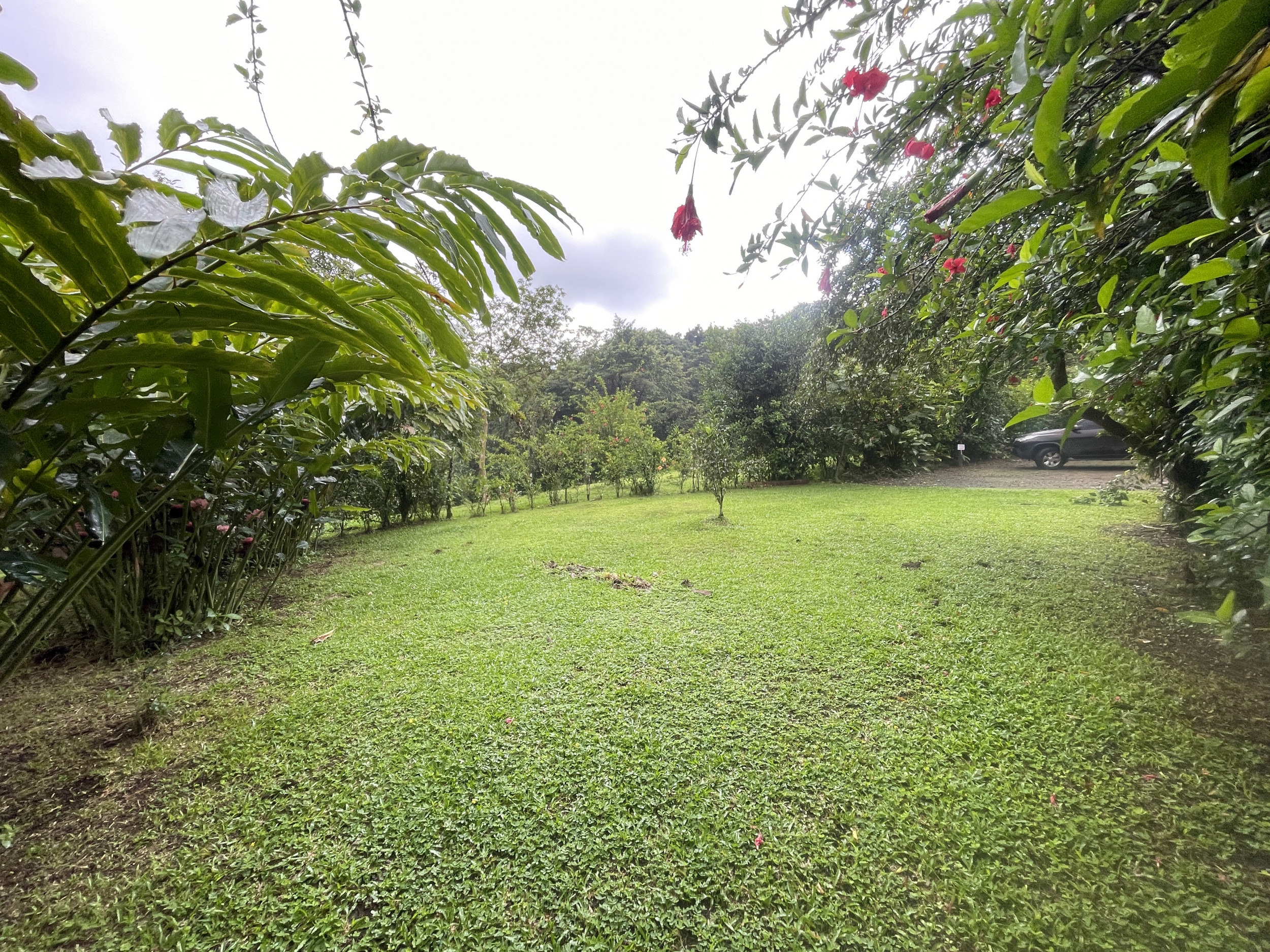 65-Acre Lakeview Property in Nuevo Arenal, Ideal for Family Residential Development