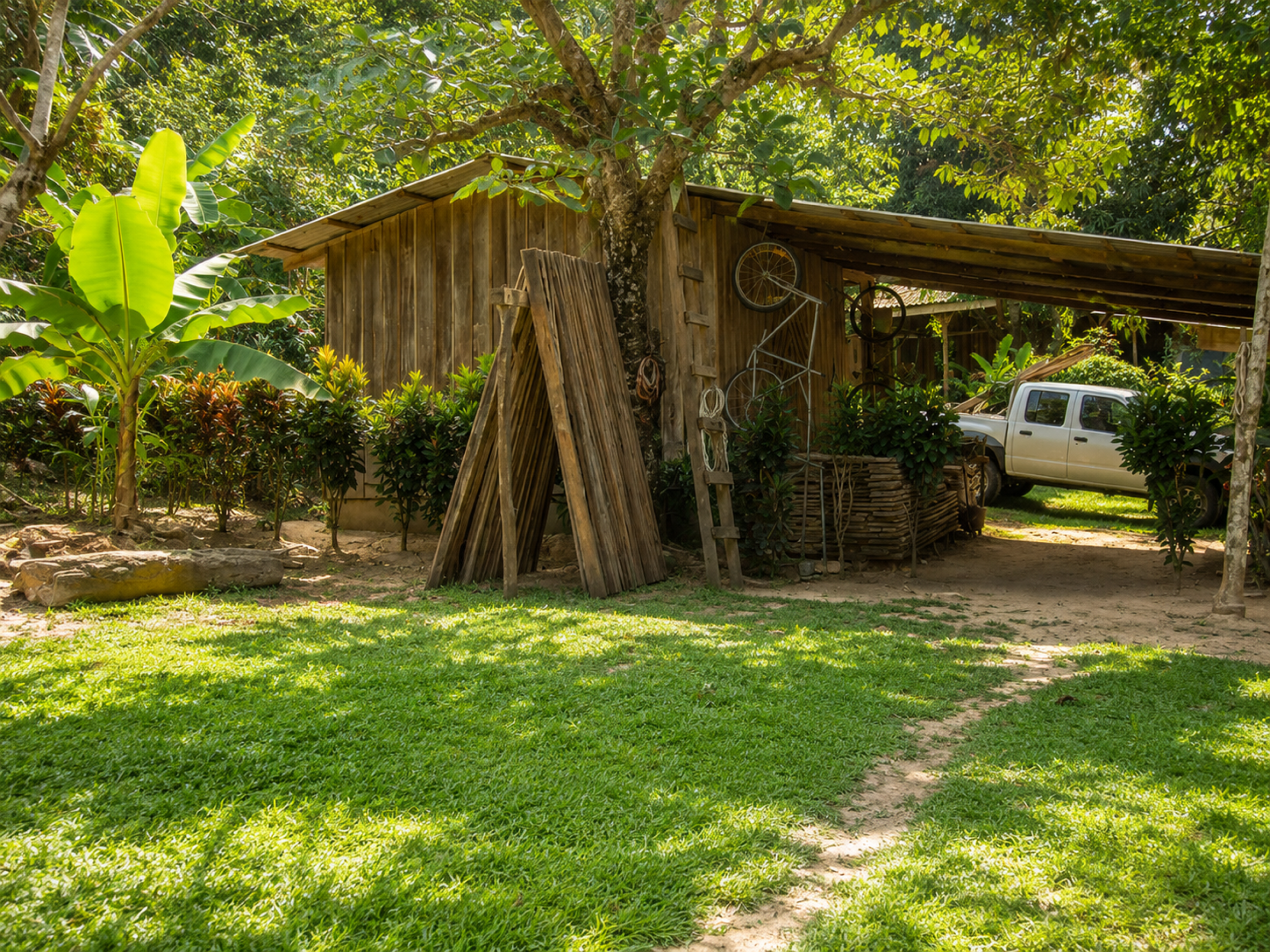 95-Acre Farm for Sale in Vainilla, Tambor – Nature, Agriculture & Development Opportunity