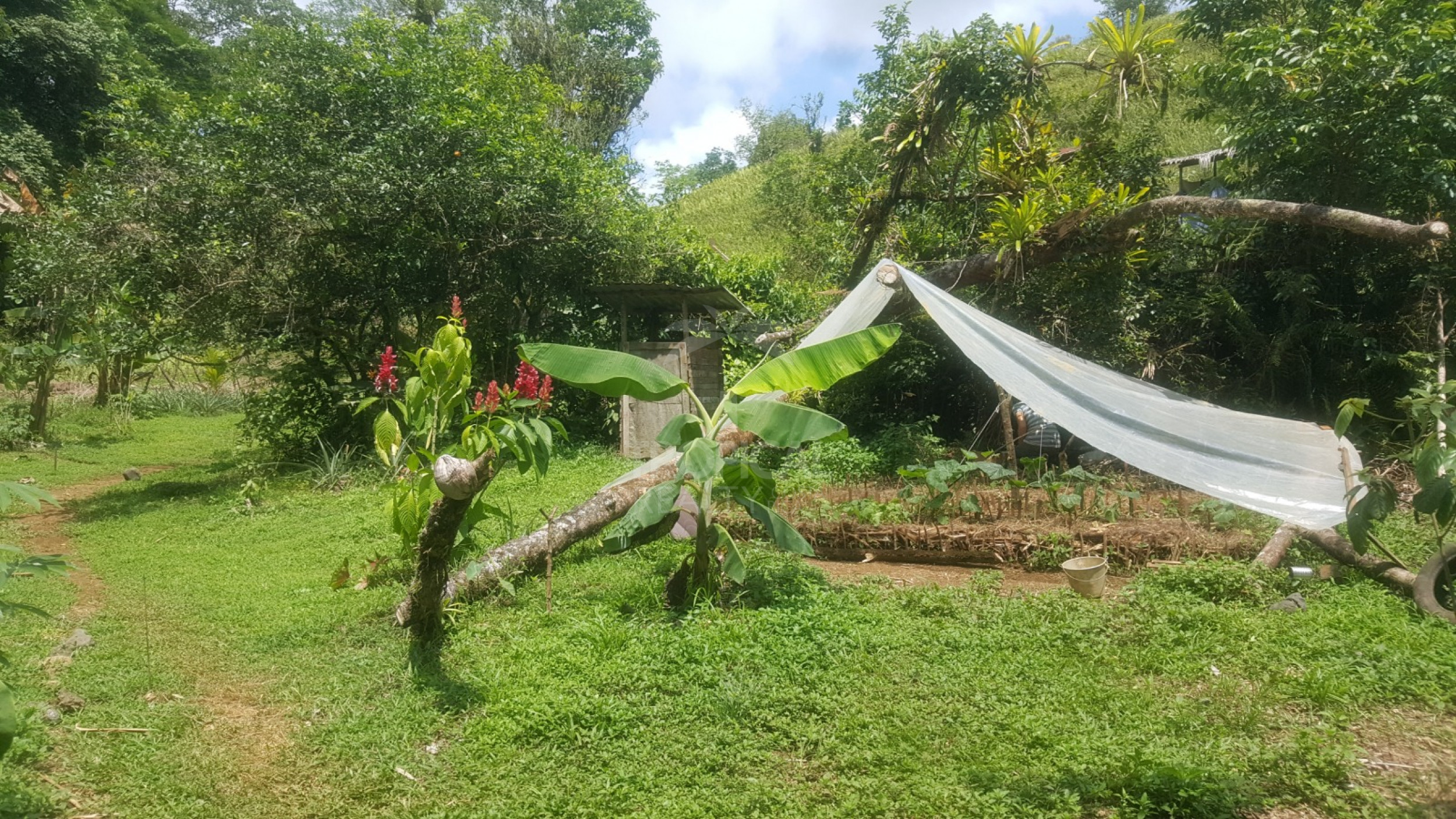 For Sale: Nature Lover’s Paradise in Sarapiquí – 24.7 Acres with Two Rivers | Bijagual, Heredia