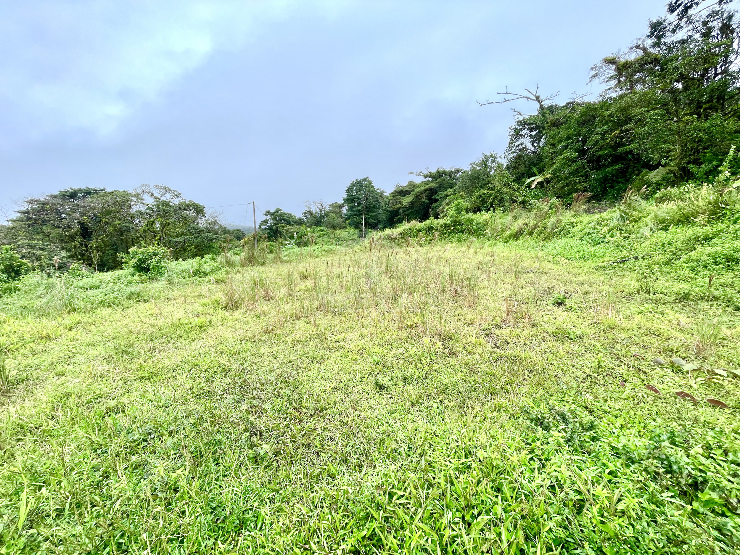 Arenal lake properties