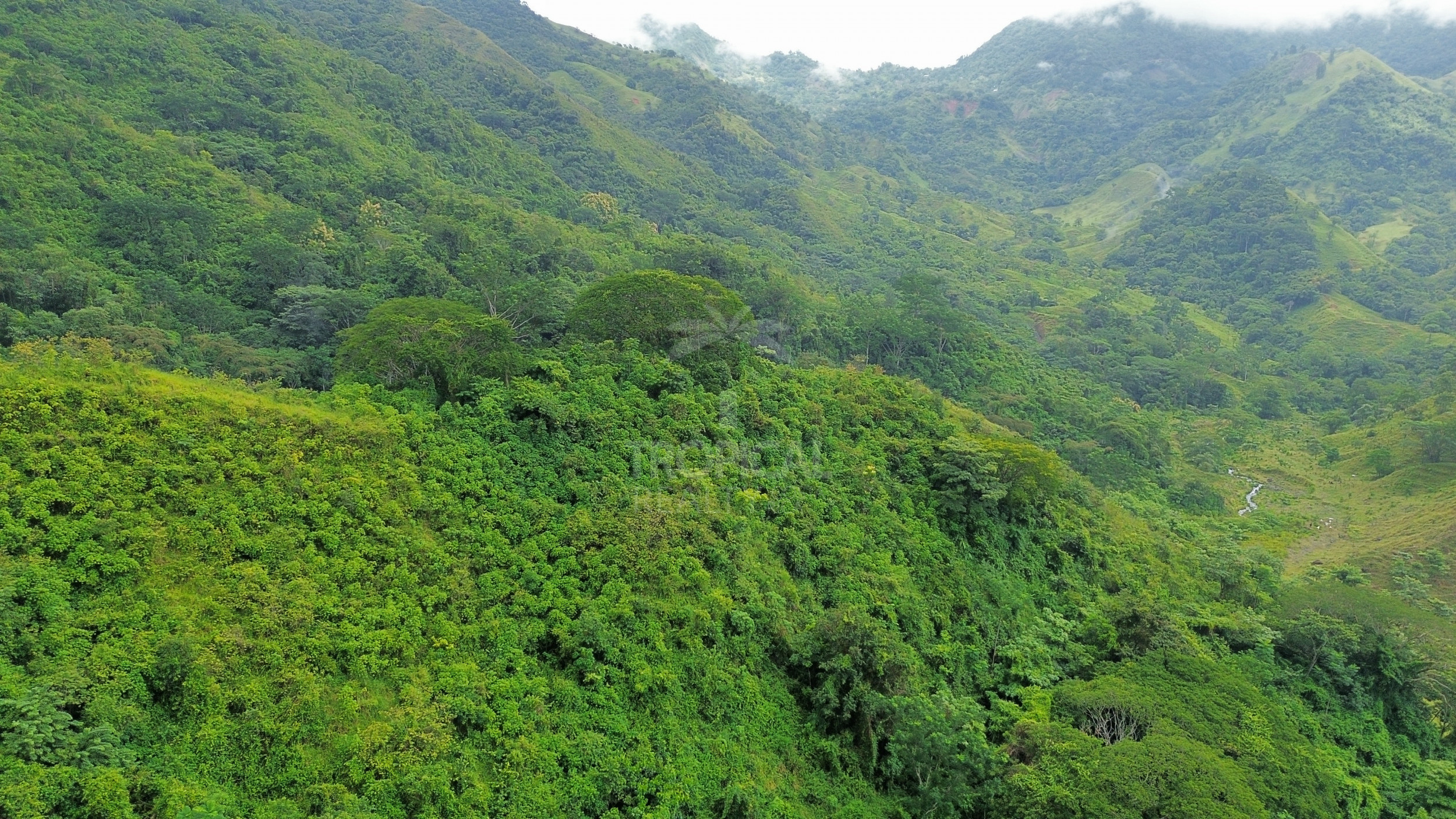 210-Hectare Farm for Sale in Tulín, Puriscal | 519 acres