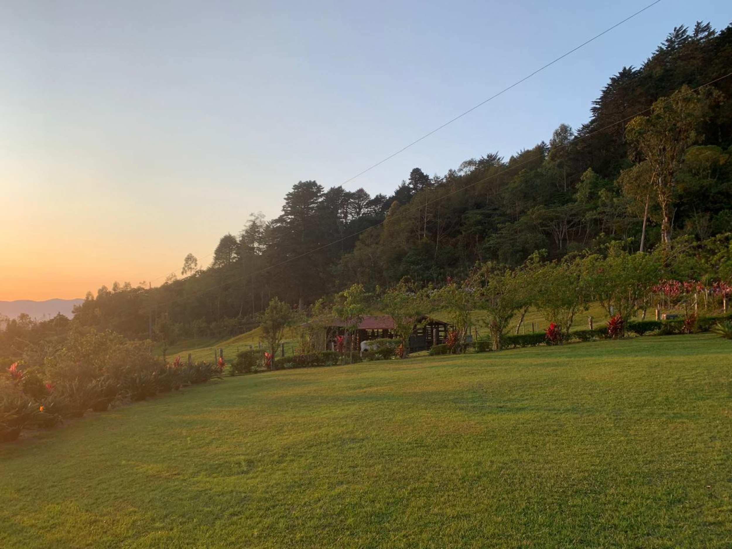 Charming Coffee Retreat Home with Stunning Views and Gourmet Coffee Plantations