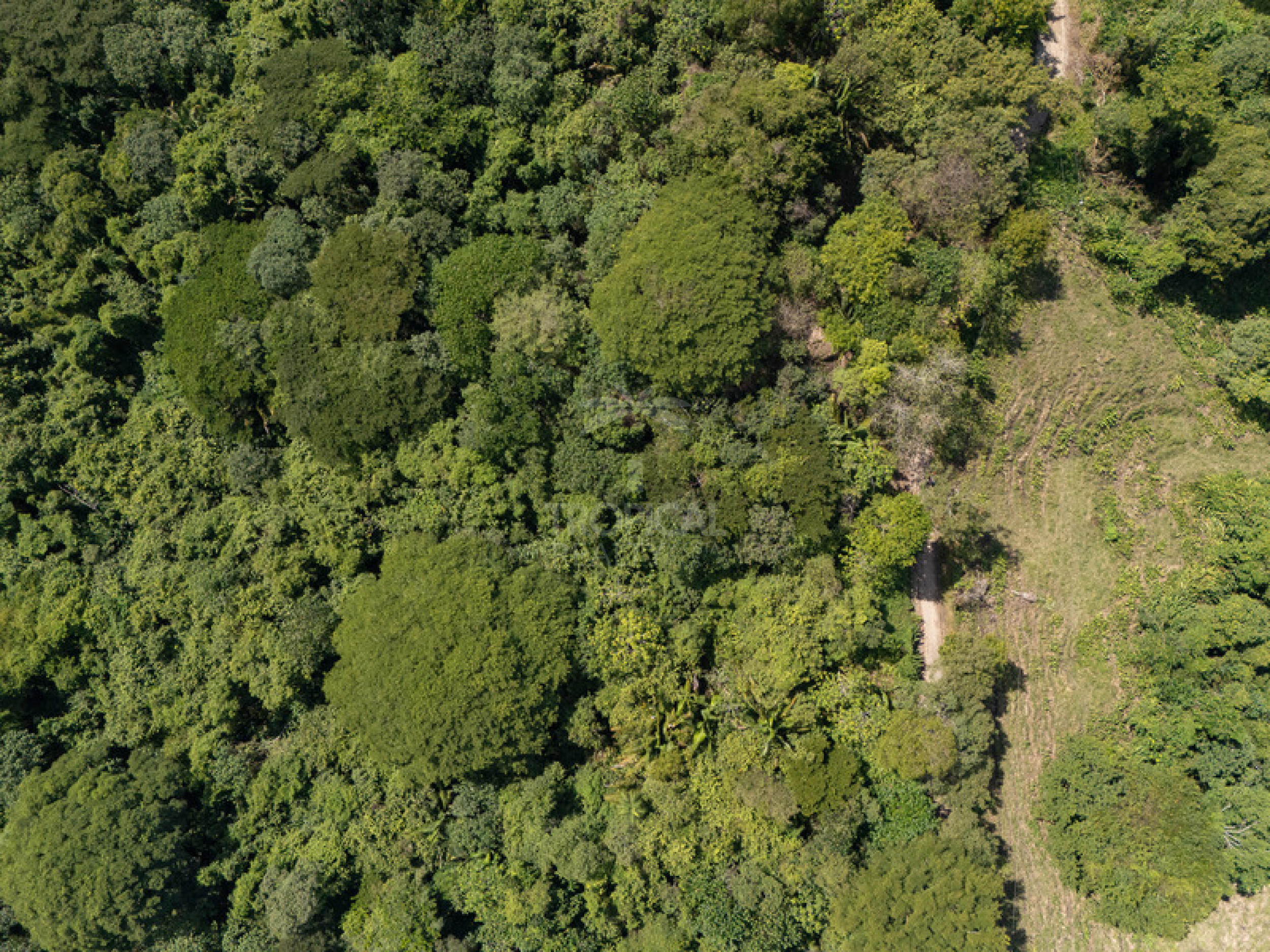 Premium Ocean View Development Estate in Cabuya – 58.6 Hectares with Infrastructure and Exceptional Potential