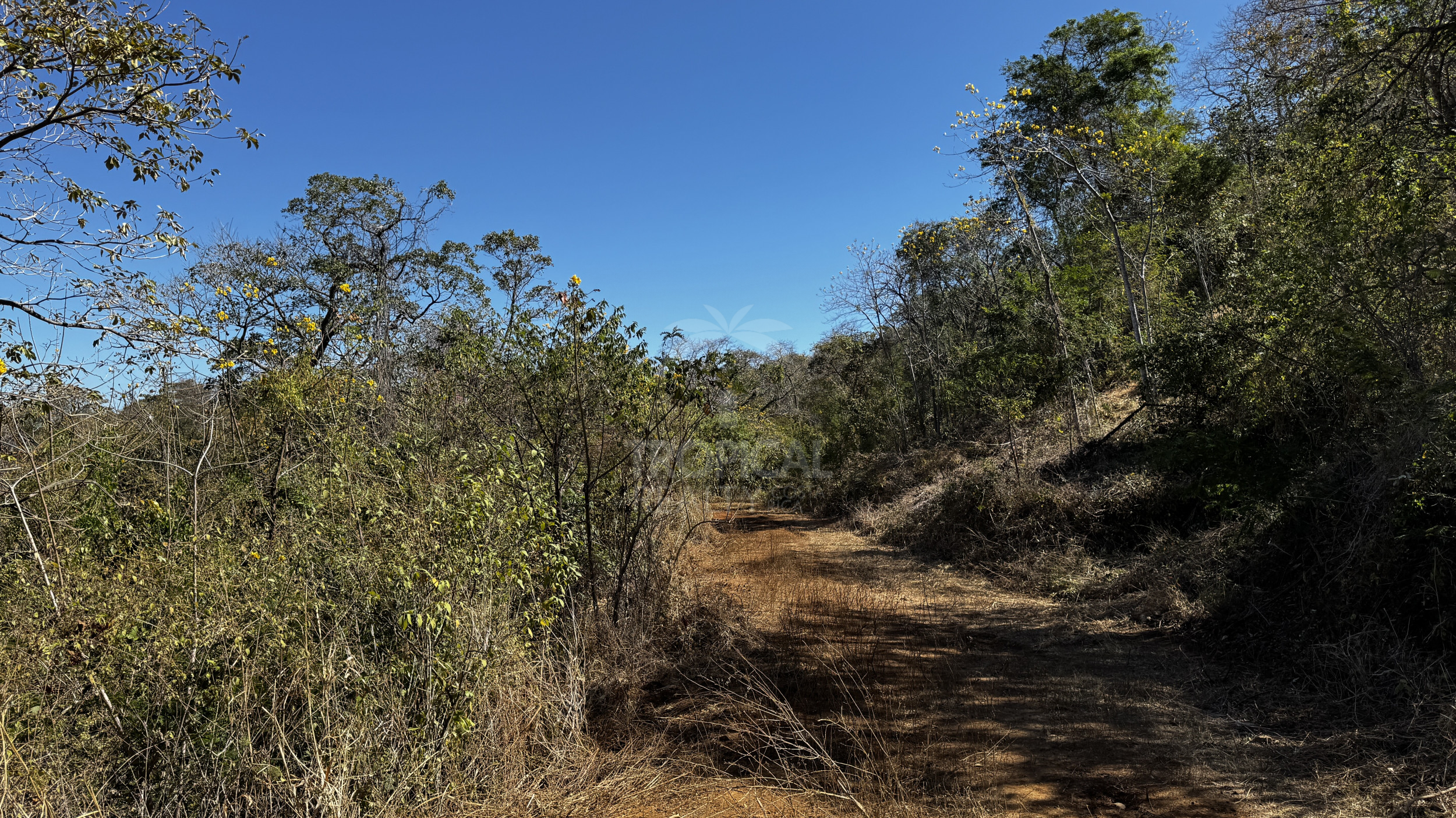 Beach land Parcels from 10,000 m² for $65,000 – Premium Property Near Coco and Rio Hotel, close to Papagayo, Guanacaste