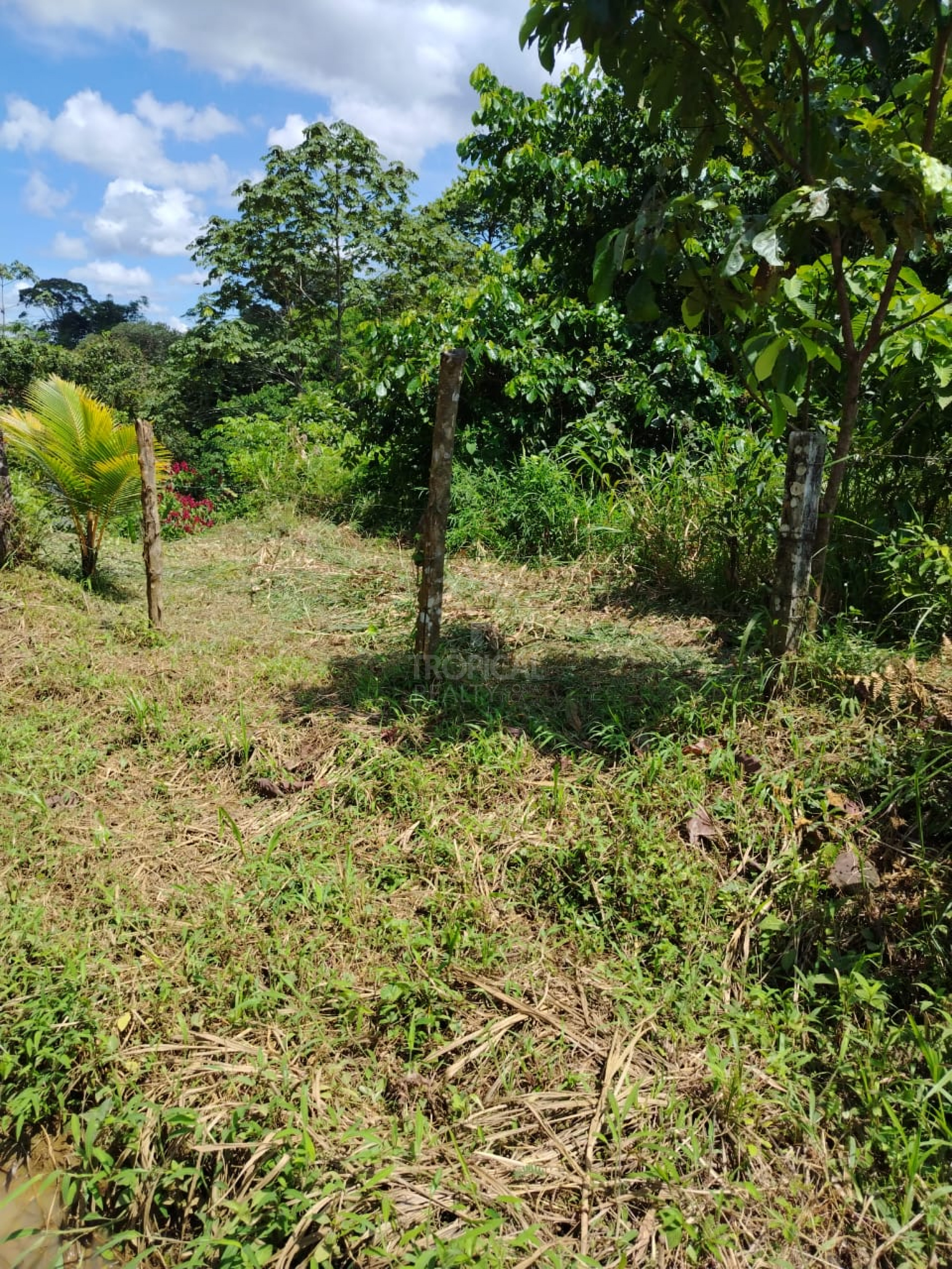 For Sale: Nature Lover’s Paradise in Sarapiquí – 24.7 Acres with Two Rivers | Bijagual, Heredia