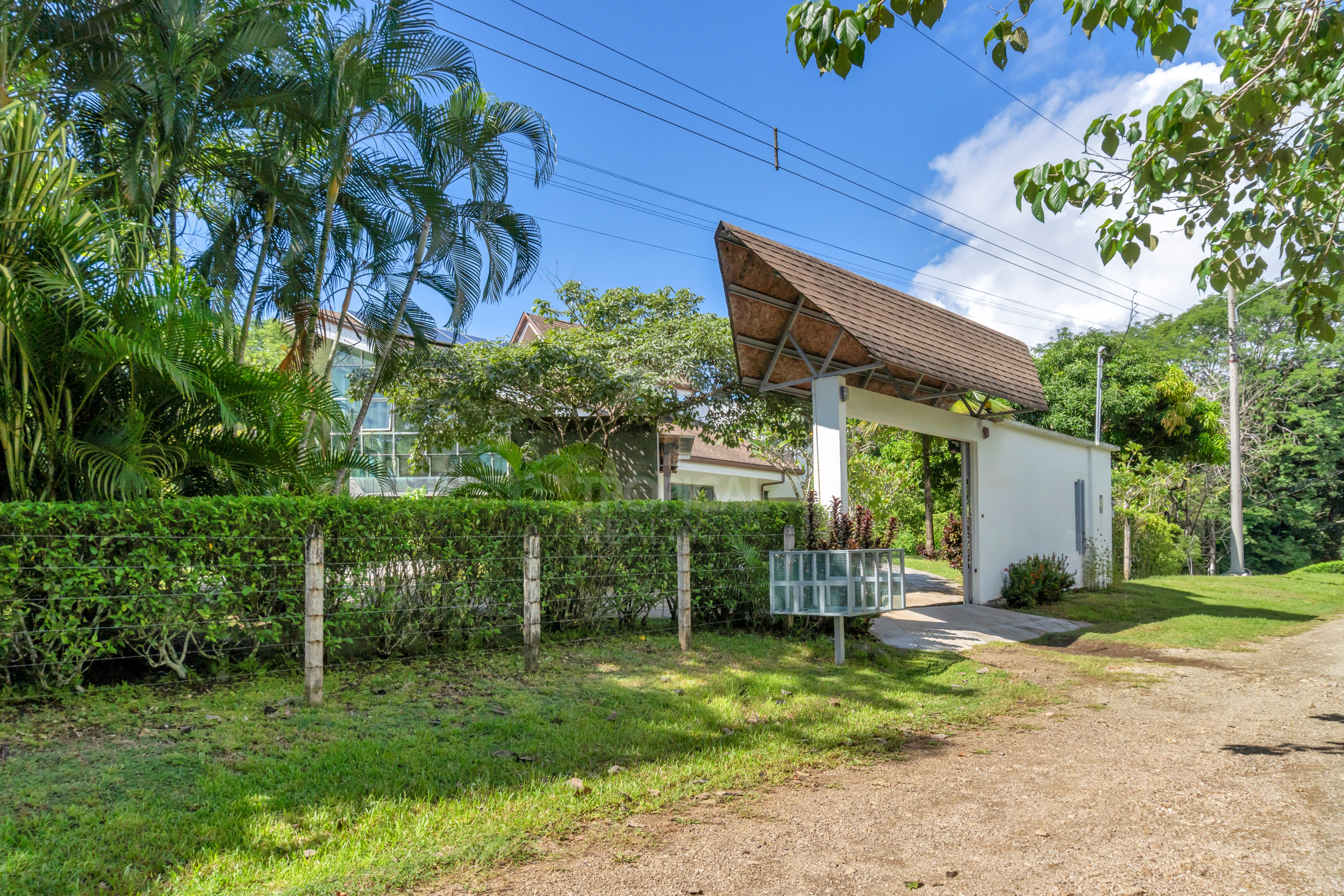 Modern Jungle Villa in Las Delicias – Santa Teresa