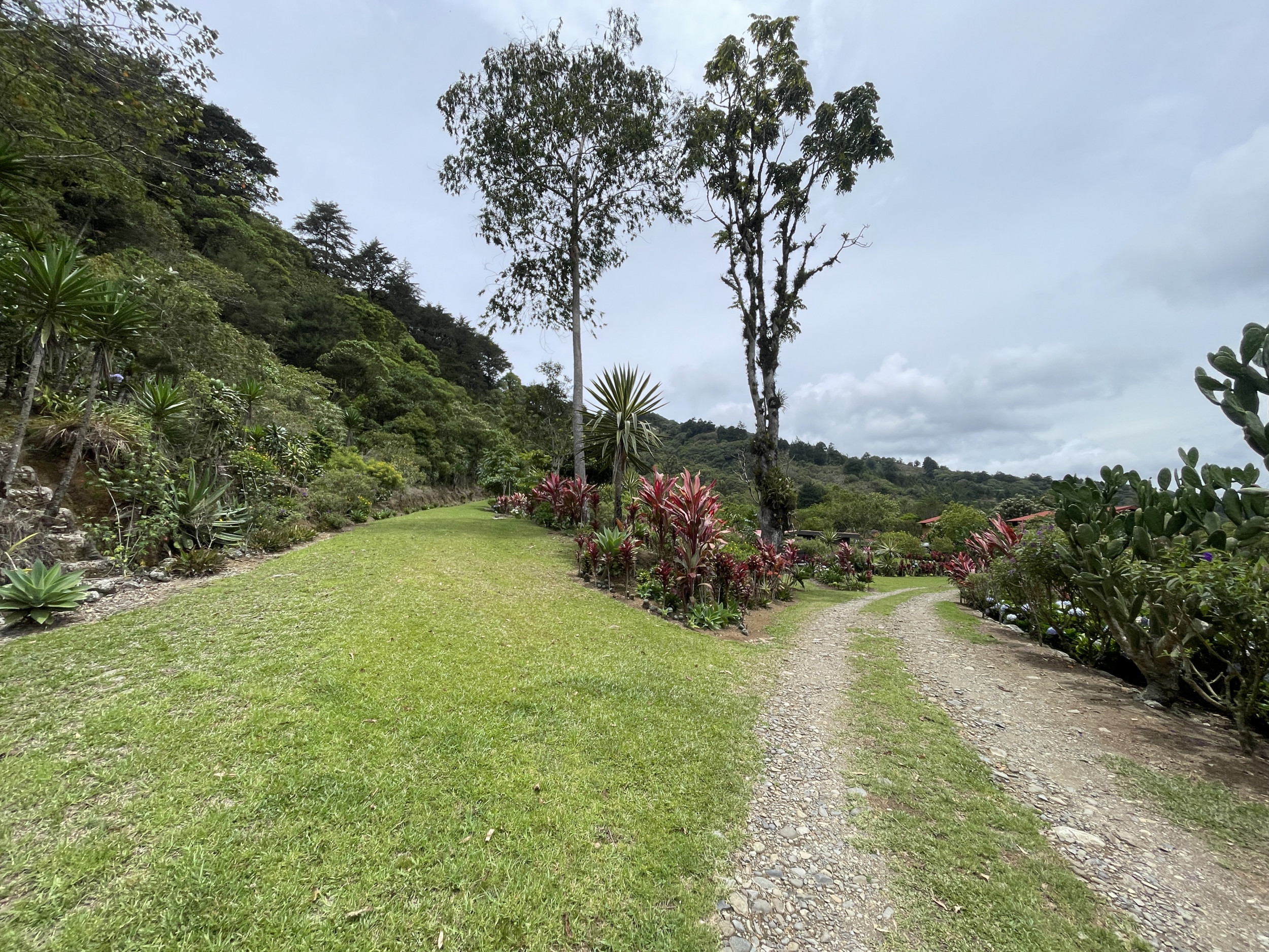 Charming Coffee Retreat Home with Stunning Views and Gourmet Coffee Plantations