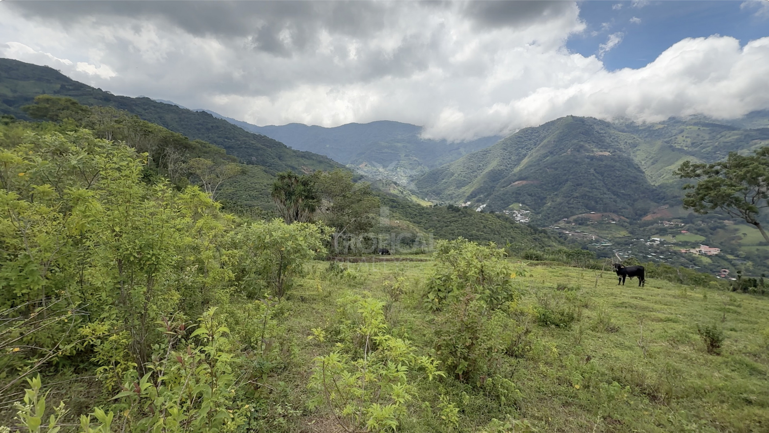 Lote de 11,000 m² (2.72 Acres) en Venta en Salitral de Santa Ana, Carretera a Escazú