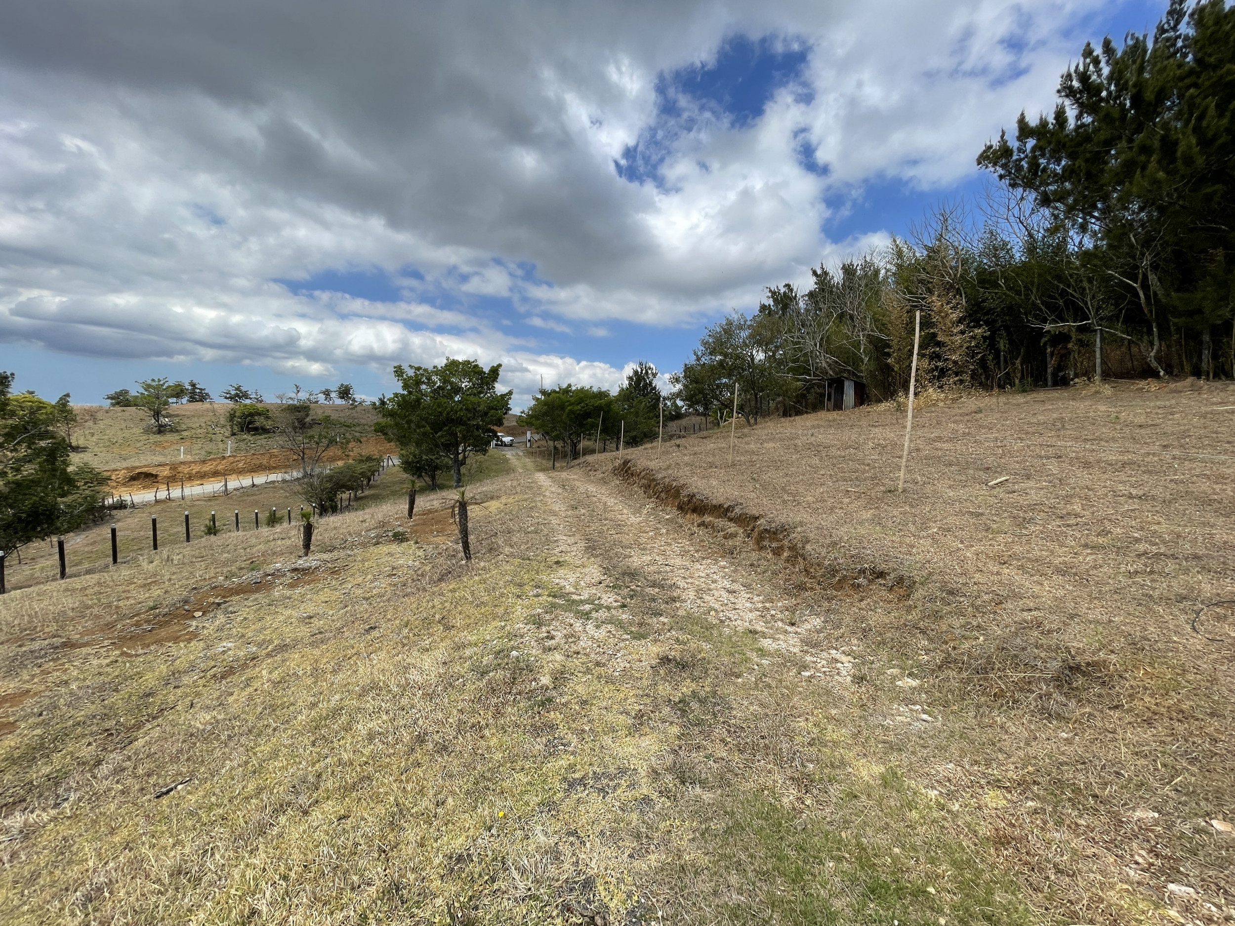 Last Chance: Scenic Lot in San Ramón for Only $69,000 – Urgent Sale!
