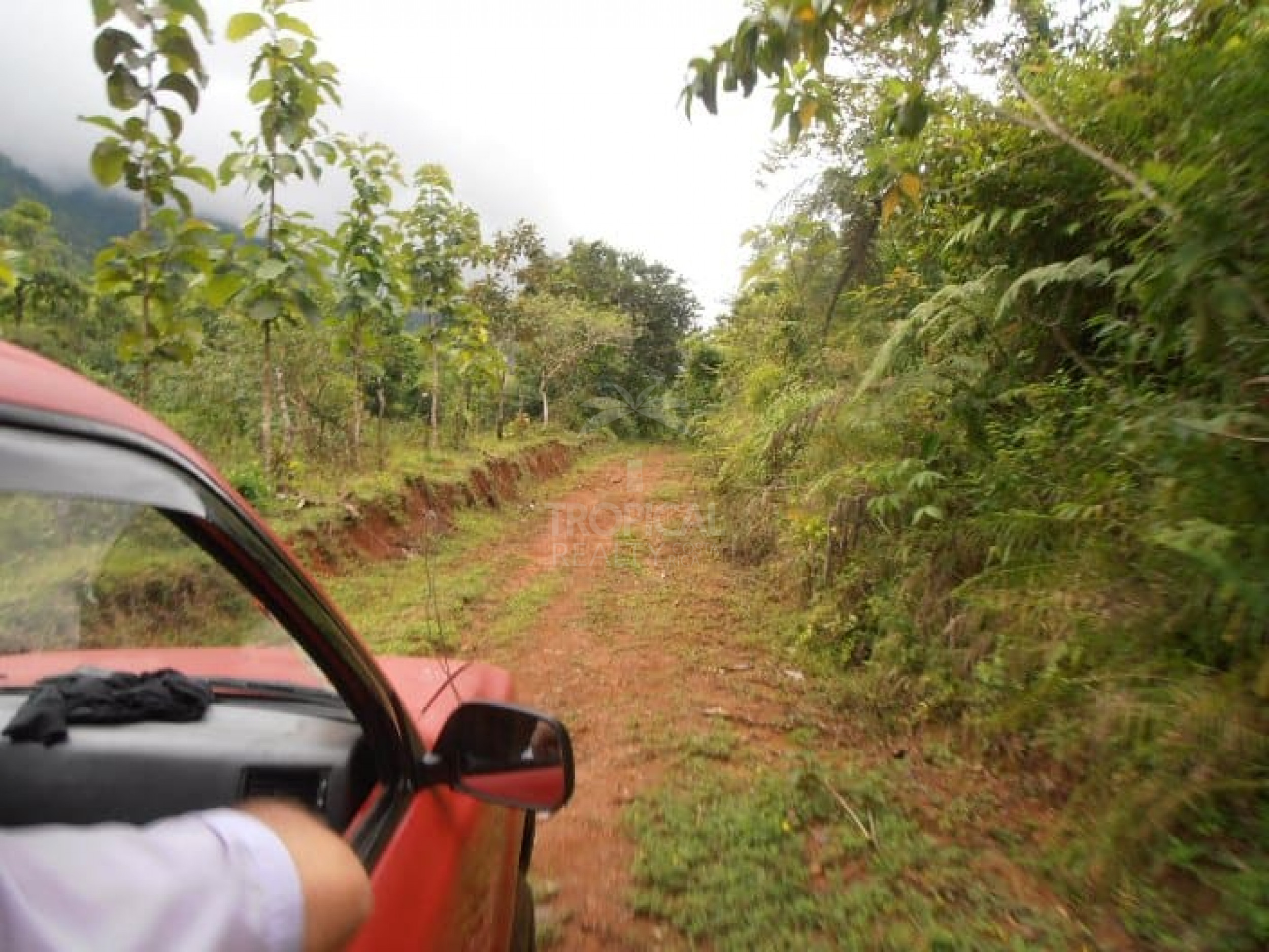210-Hectare Farm for Sale in Tulín, Puriscal | 519 acres