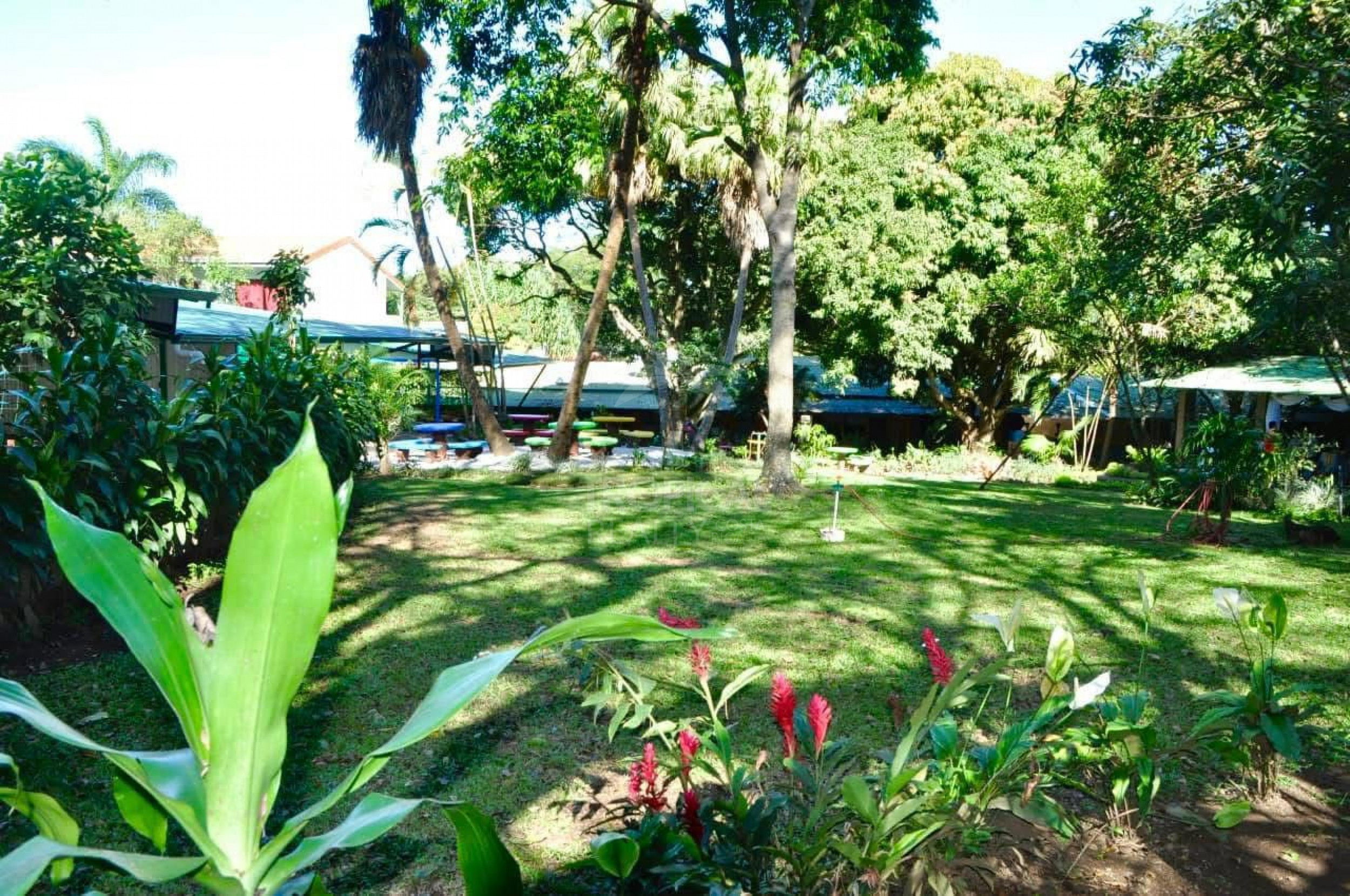 Commercial / Institutional Property for Sale in Río Oro, Santa Ana