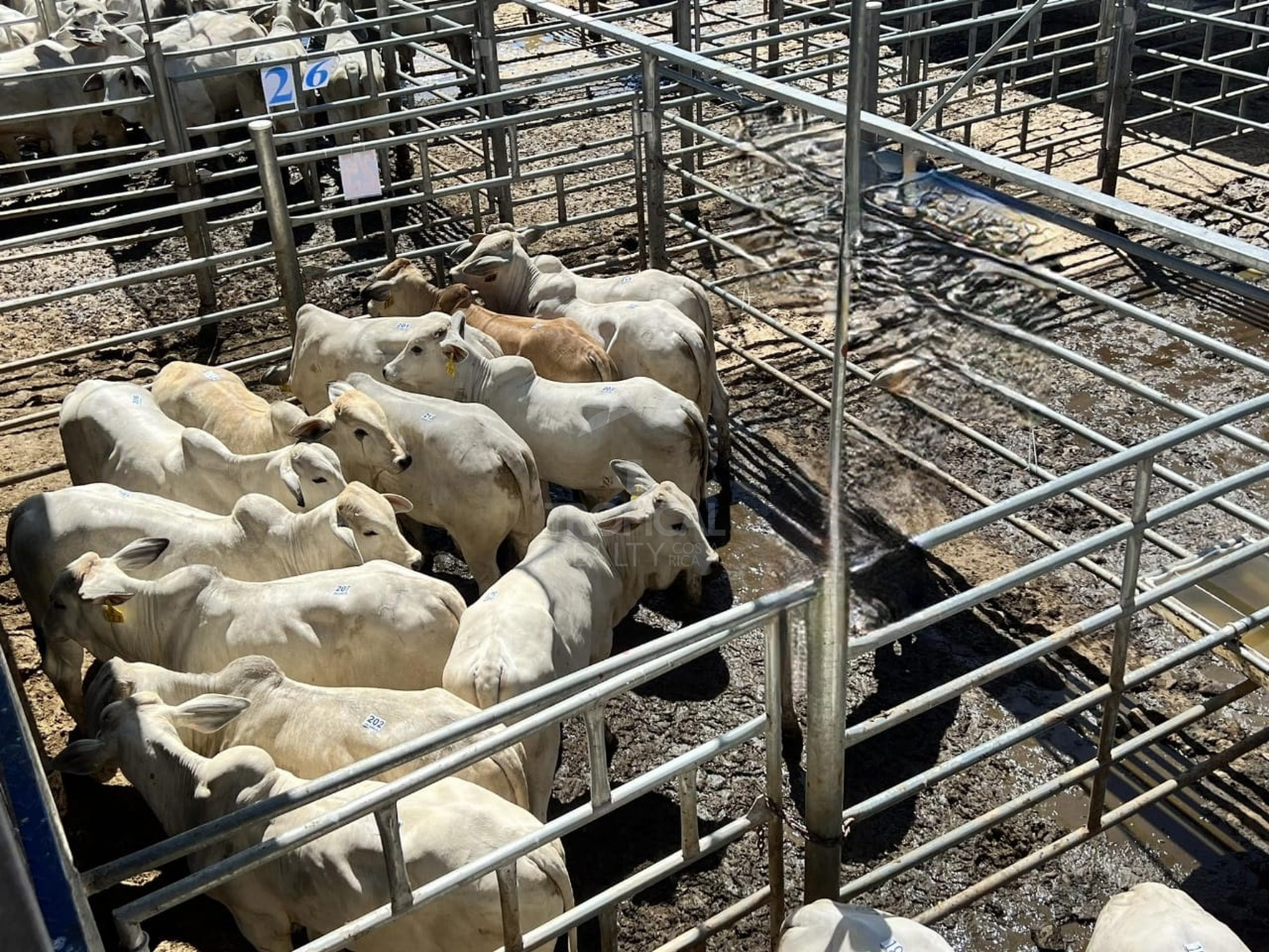 11,023 acres Agricultural Property with Water and High Potential