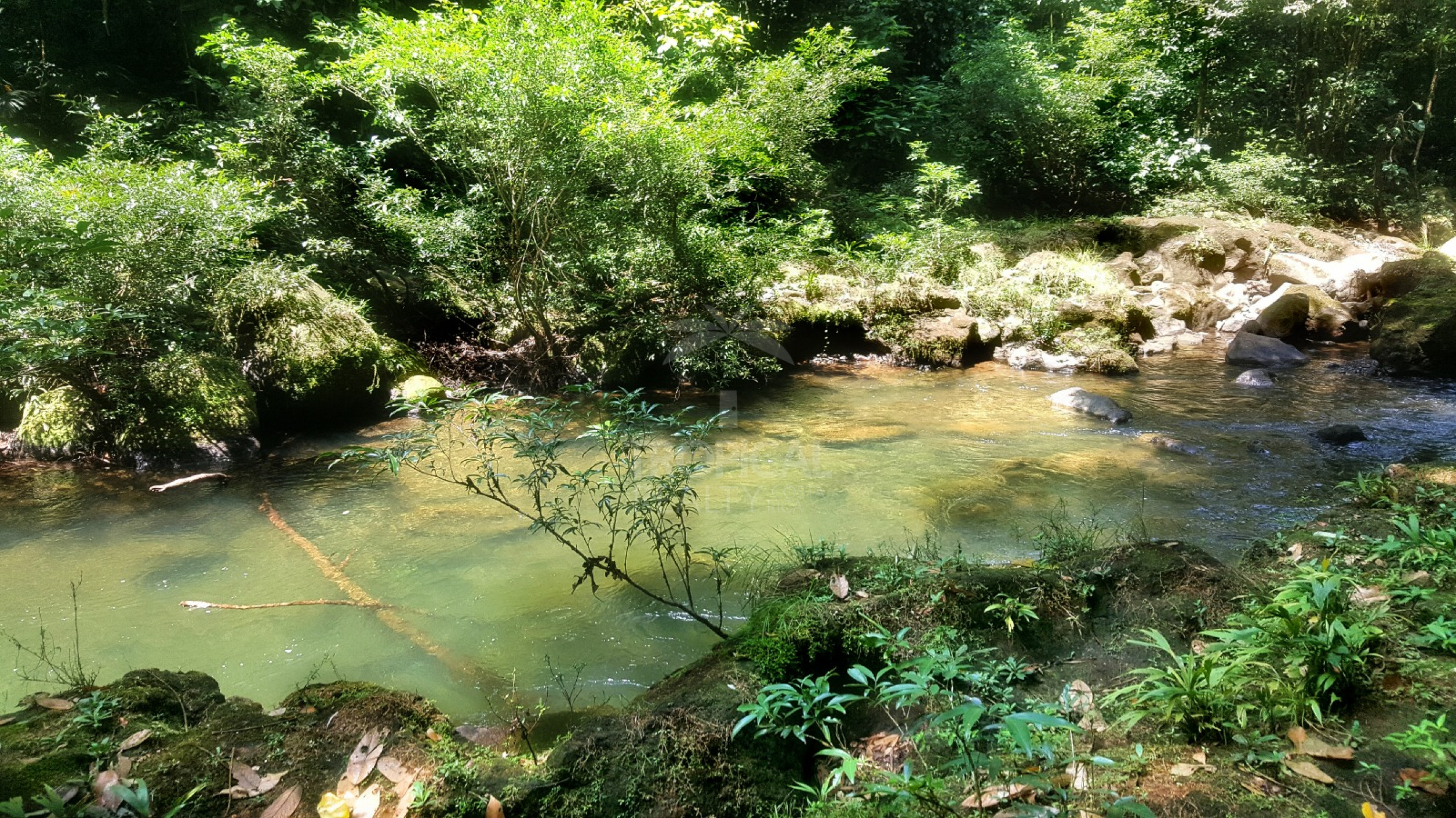 For Sale: Nature Lover’s Paradise in Sarapiquí – 24.7 Acres with Two Rivers | Bijagual, Heredia