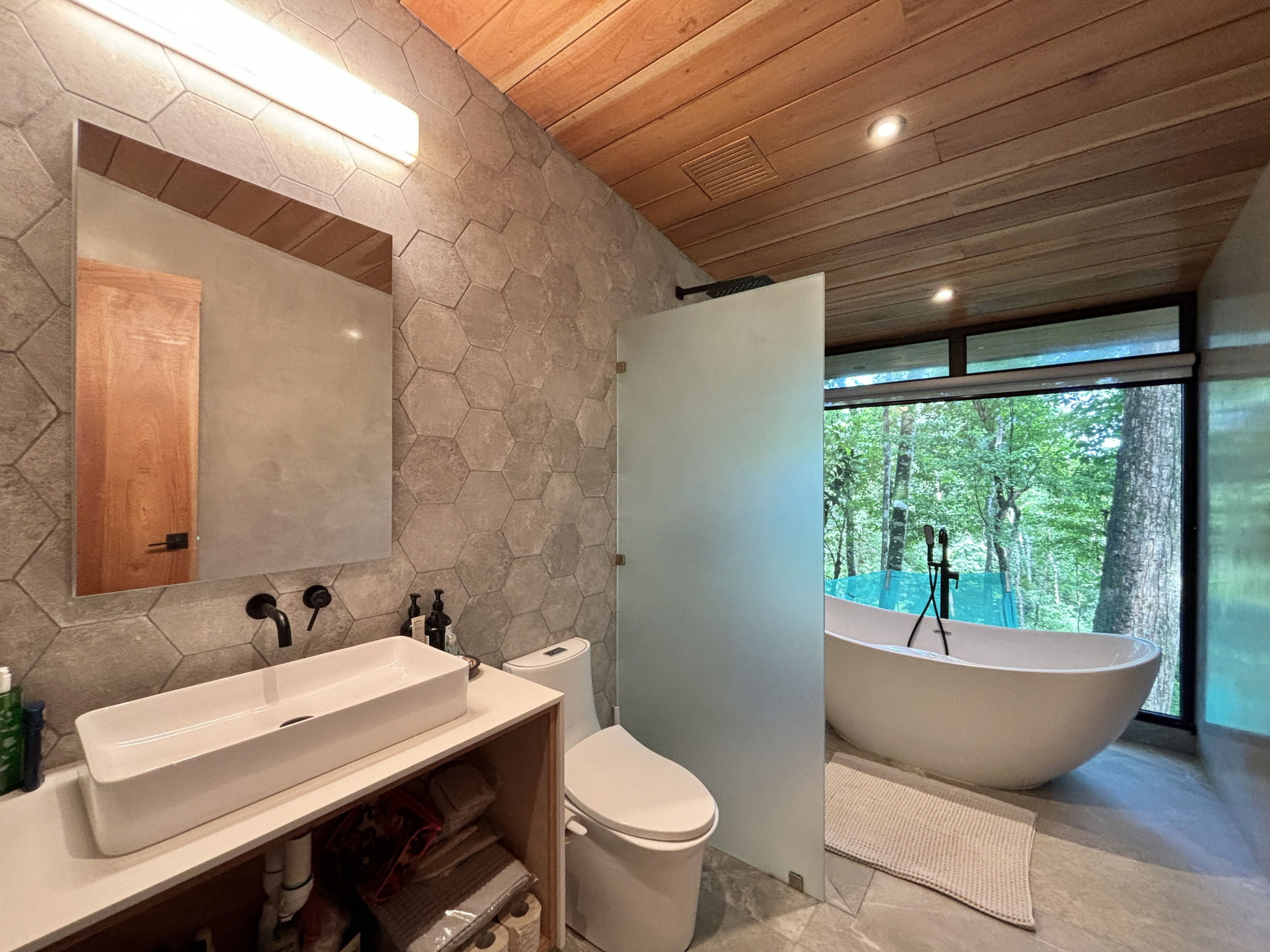 Modern Retreat Surrounded by Lush Nature in Santa Teresa