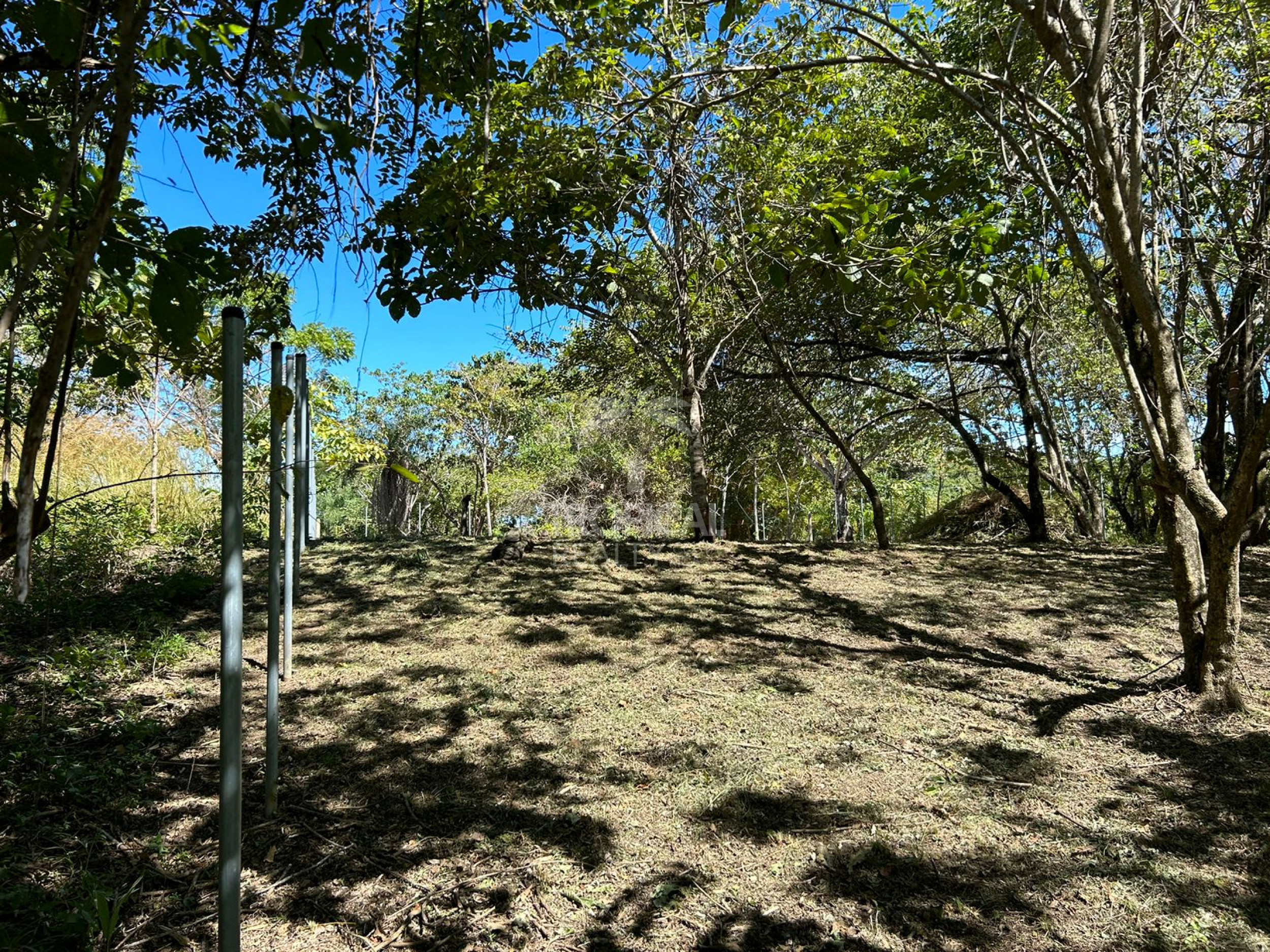 1000m² Lot for Sale in Las Delicias de Cobano: Your Coastal Oasis in Costa Rica.