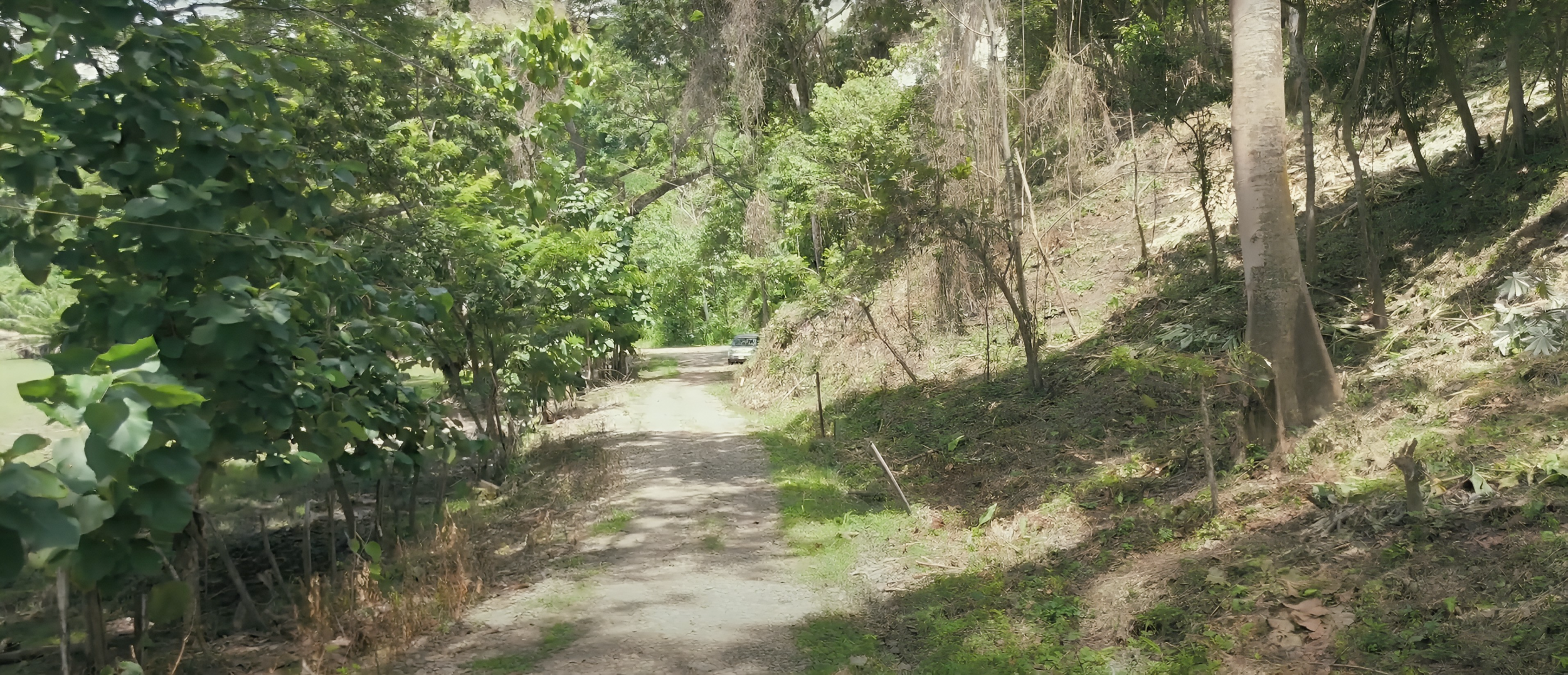 Blue Zone Lots for Sale in Costa Rica – Build Your Dream Beach Home