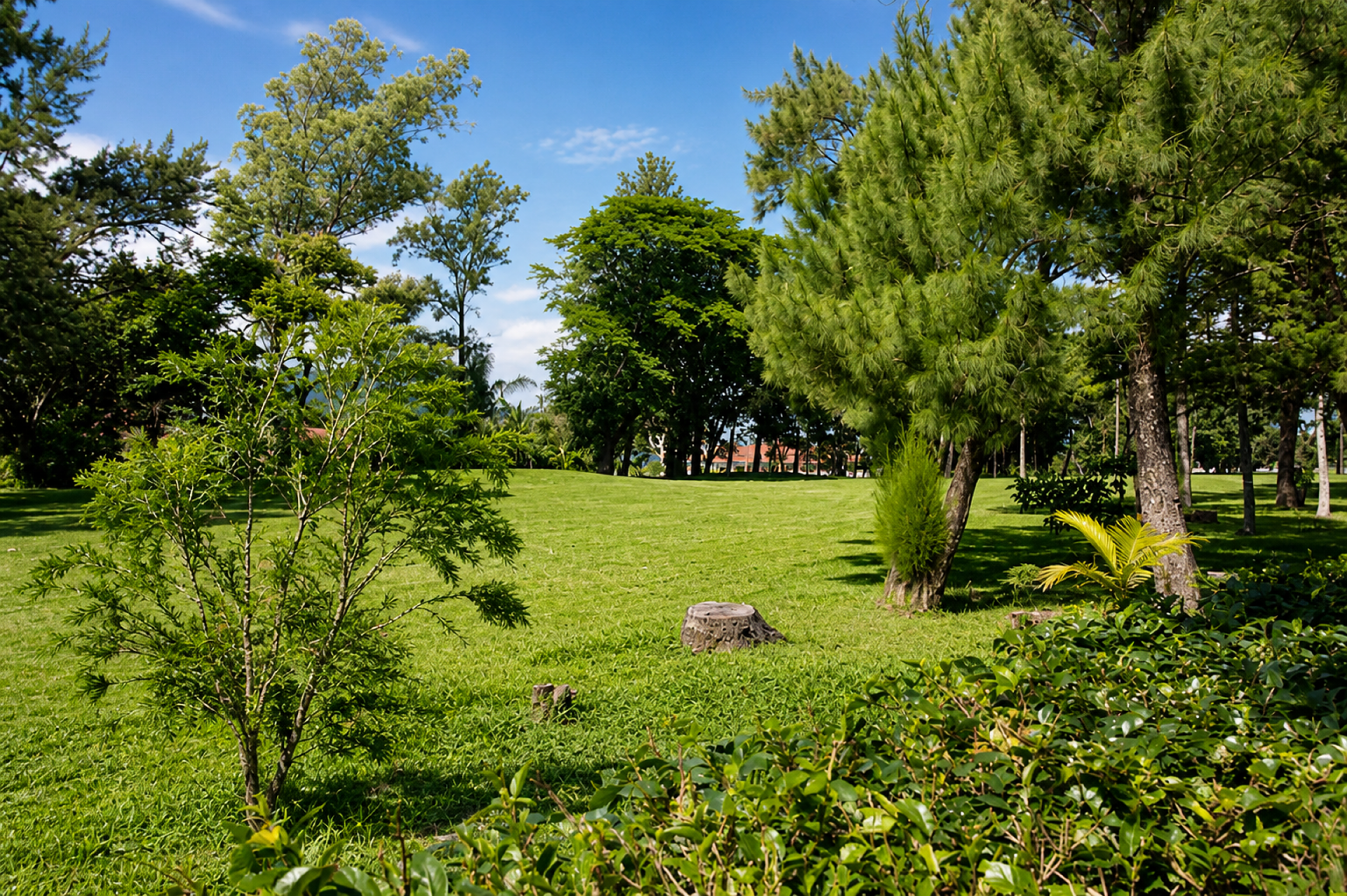 Luxury house for sale Hacienda Los Reyes La Guacima