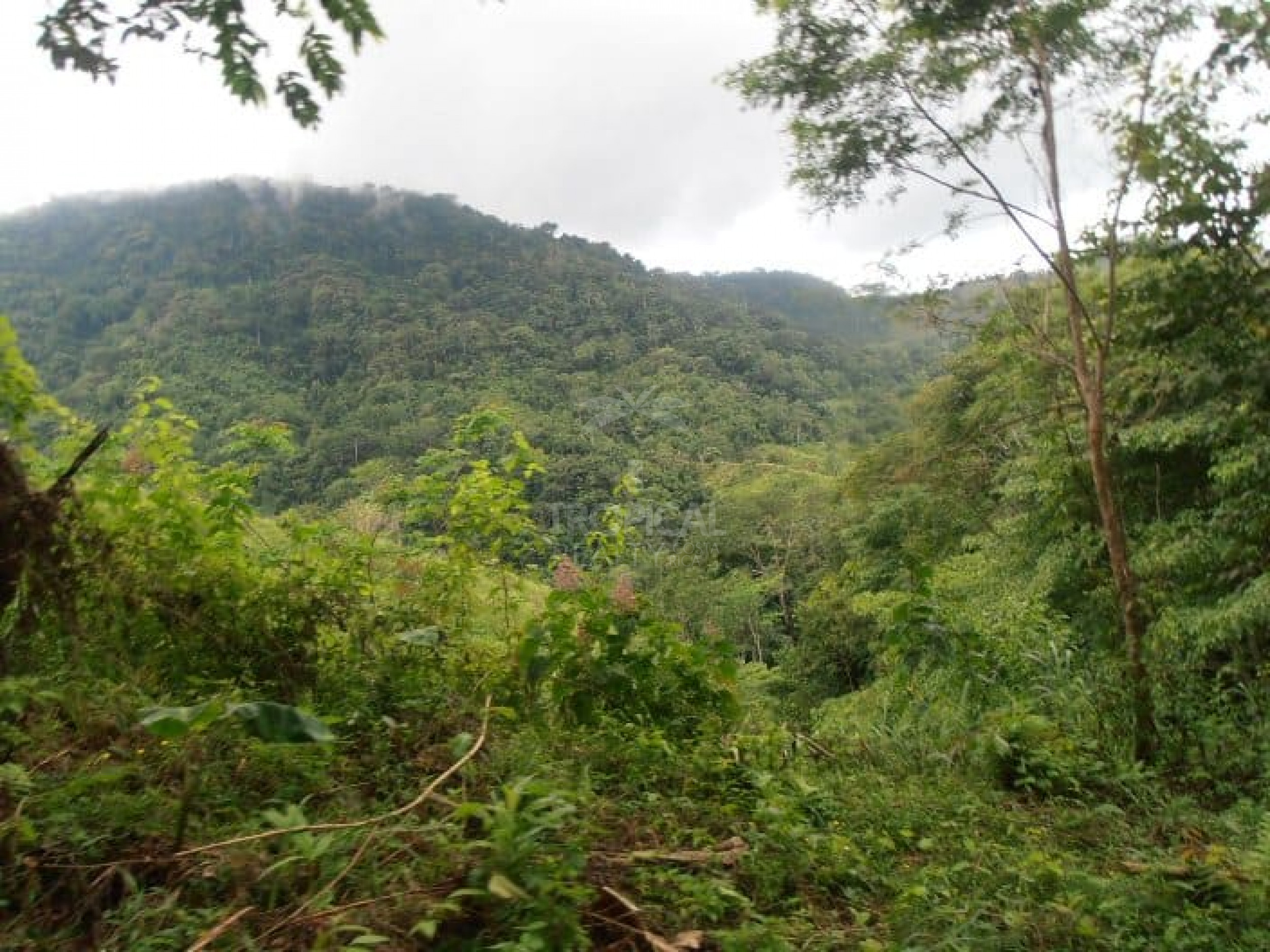 210-Hectare Farm for Sale in Tulín, Puriscal | 519 acres