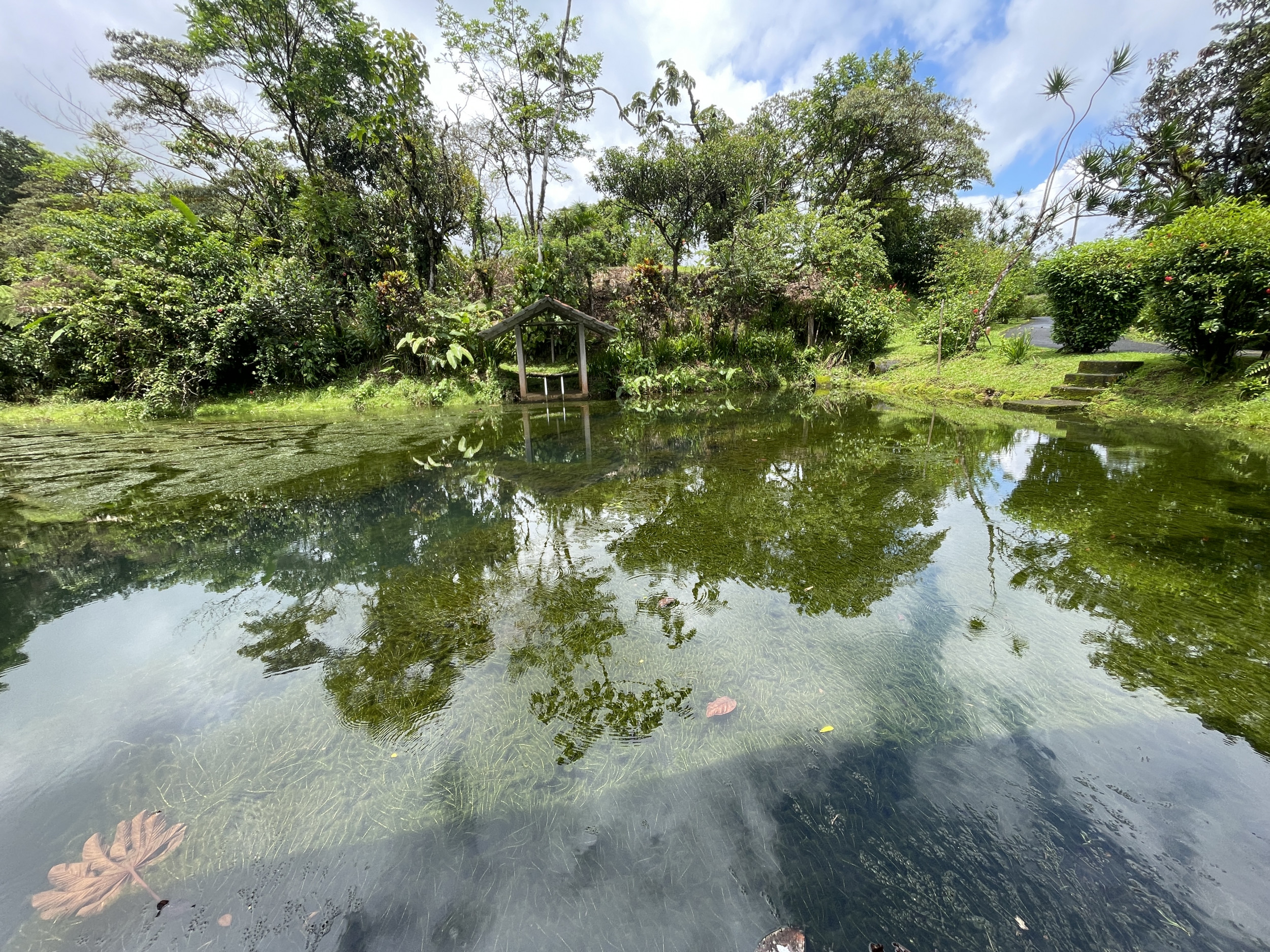 65-Acre Lakeview Property in Nuevo Arenal, Ideal for Family Residential Development